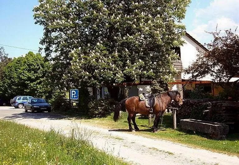 Street view in Gasthaus-Pension Zum Brandweiher