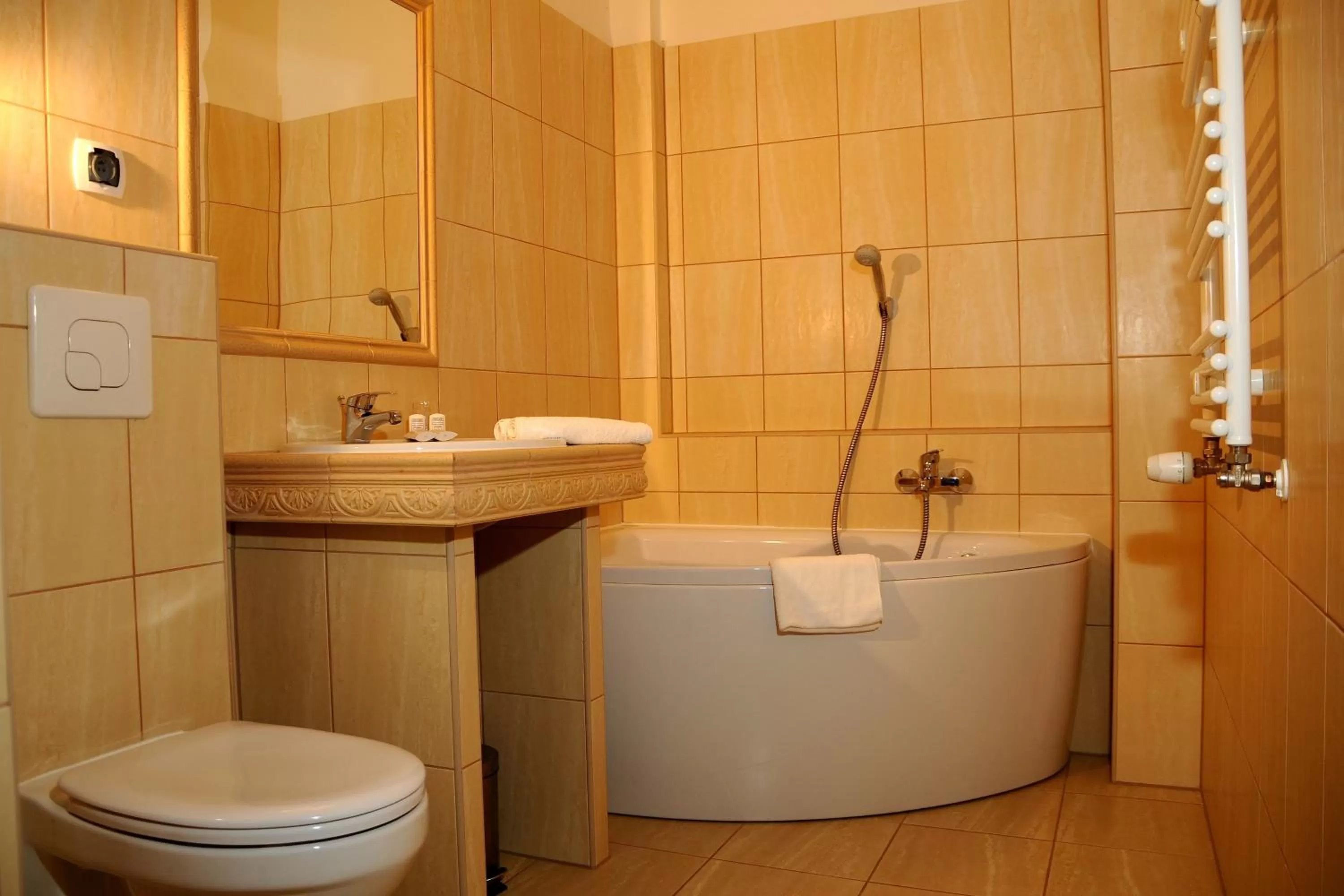 Bathroom in Folwark Stara Winiarnia