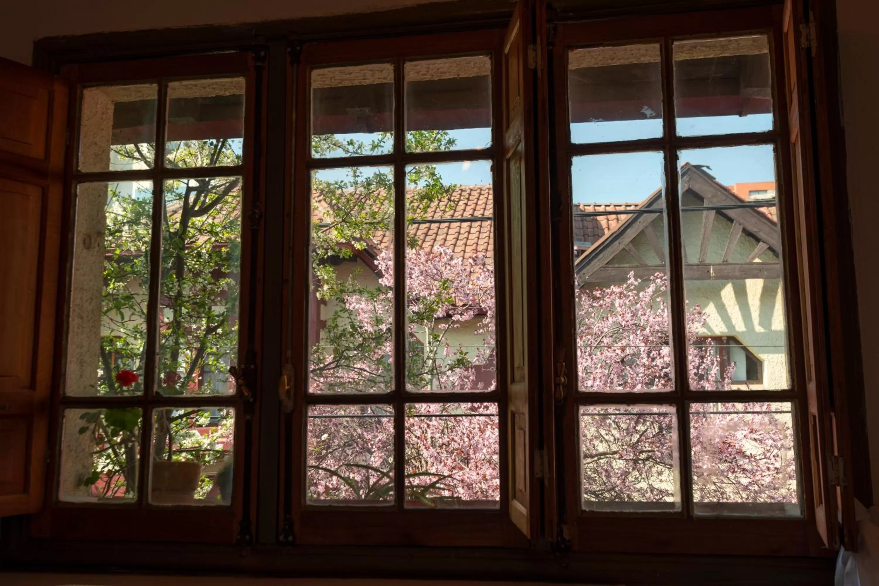 Quiet street view in Providencia Bed & Breakfast