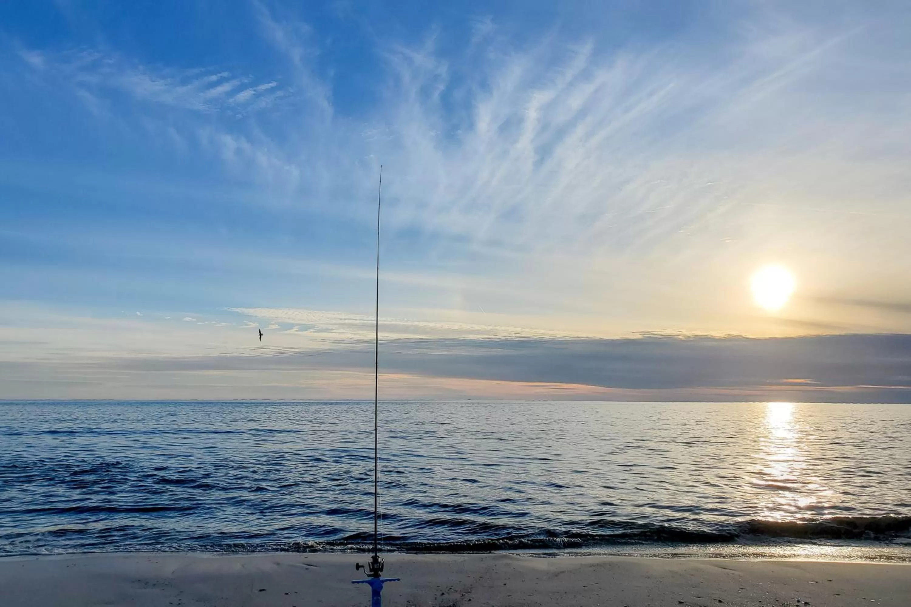 Sunrise/Sunset in Top of the Gulf 708