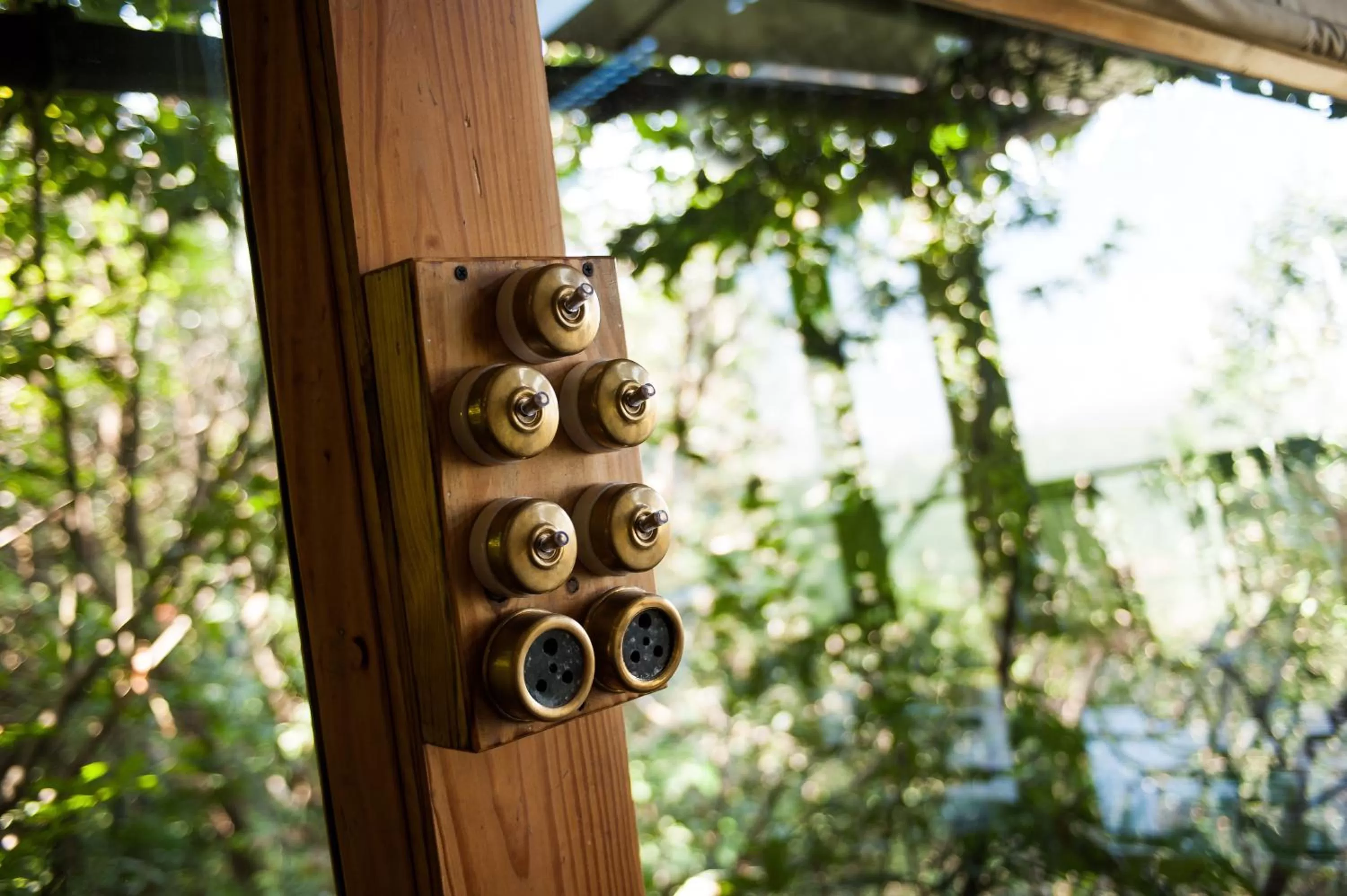 Decorative detail in The Machan