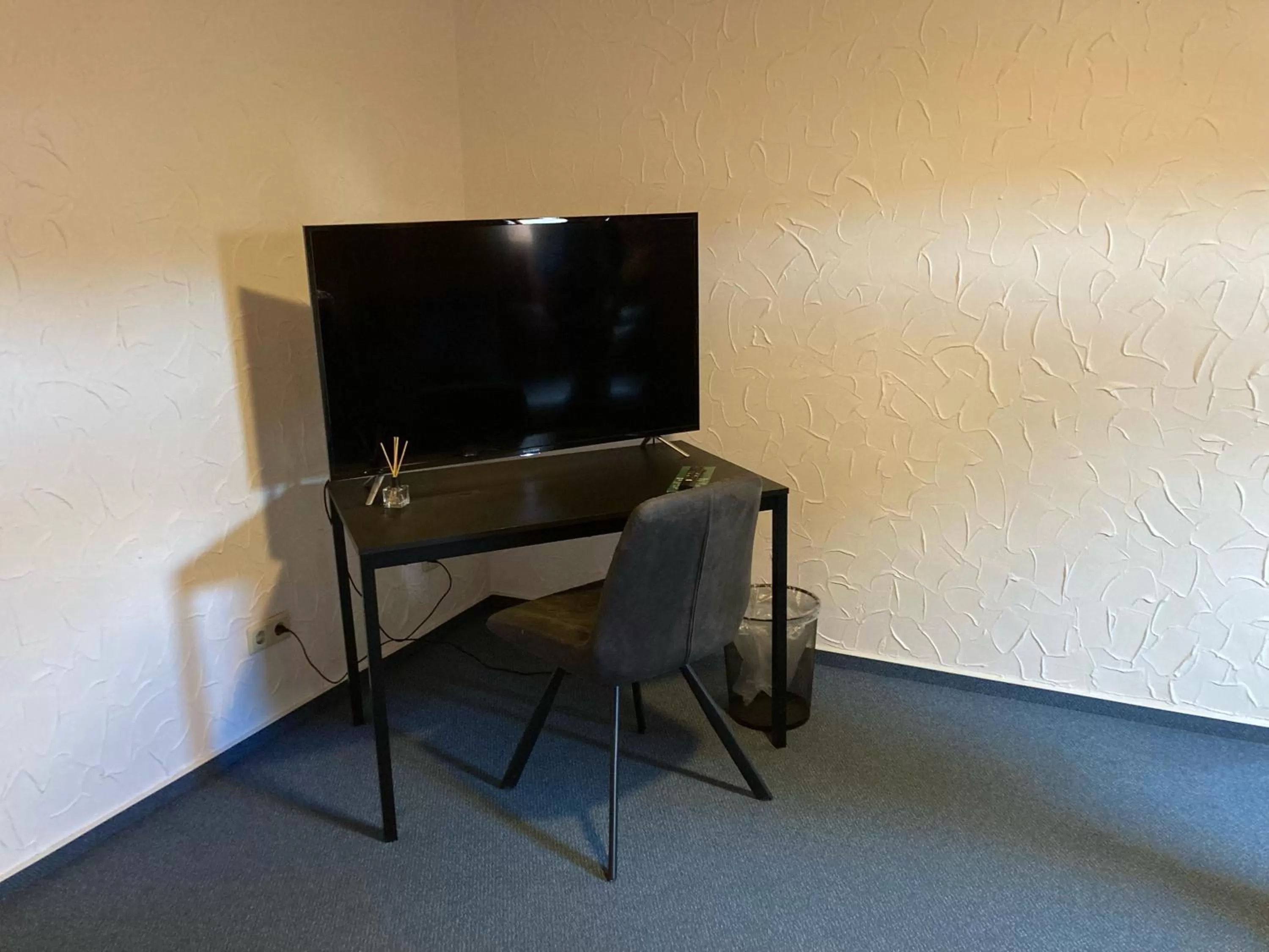 TV and multimedia in Hotel zur Schlemmerscheune