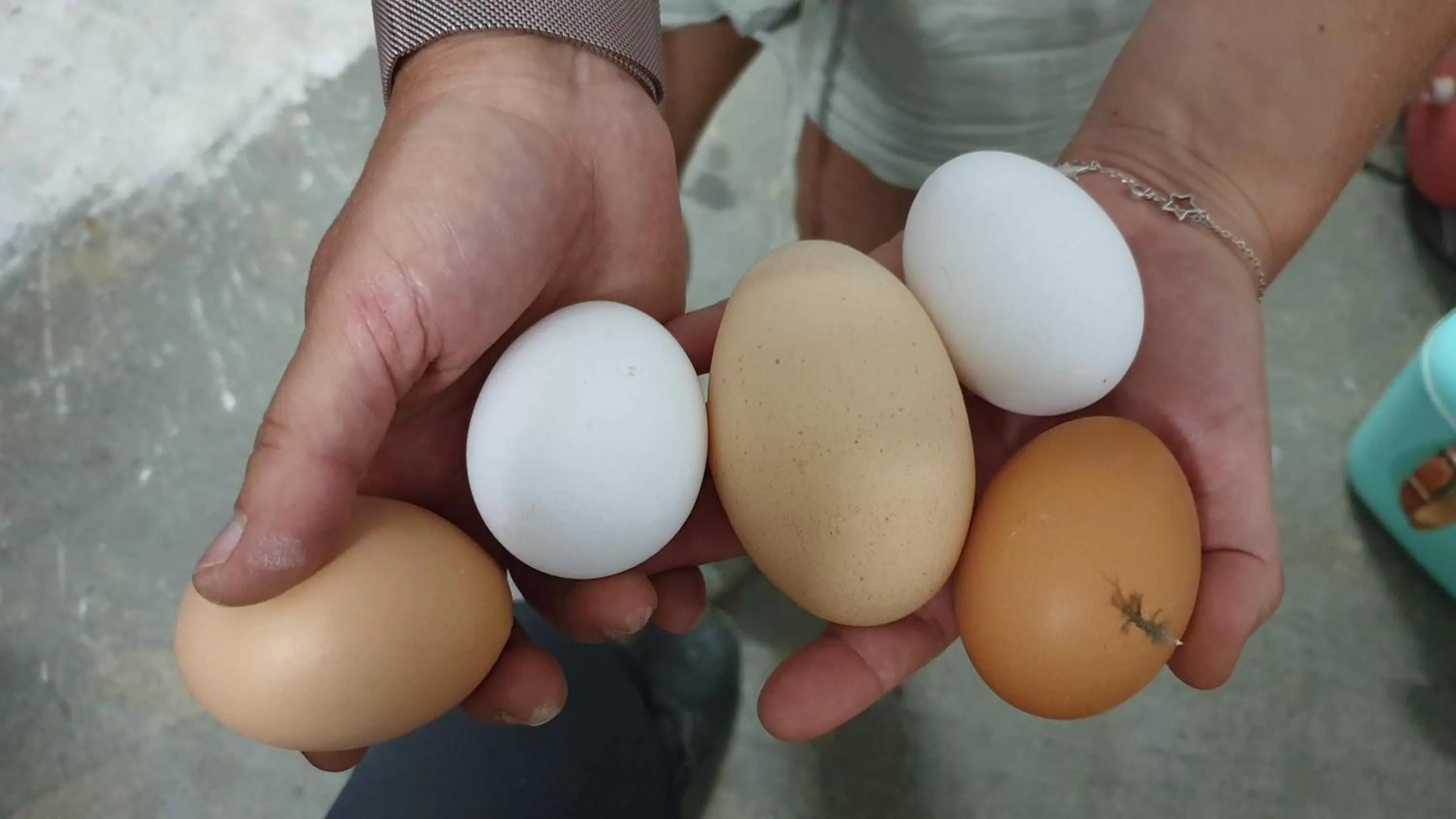 Food in La Casa del Torreón