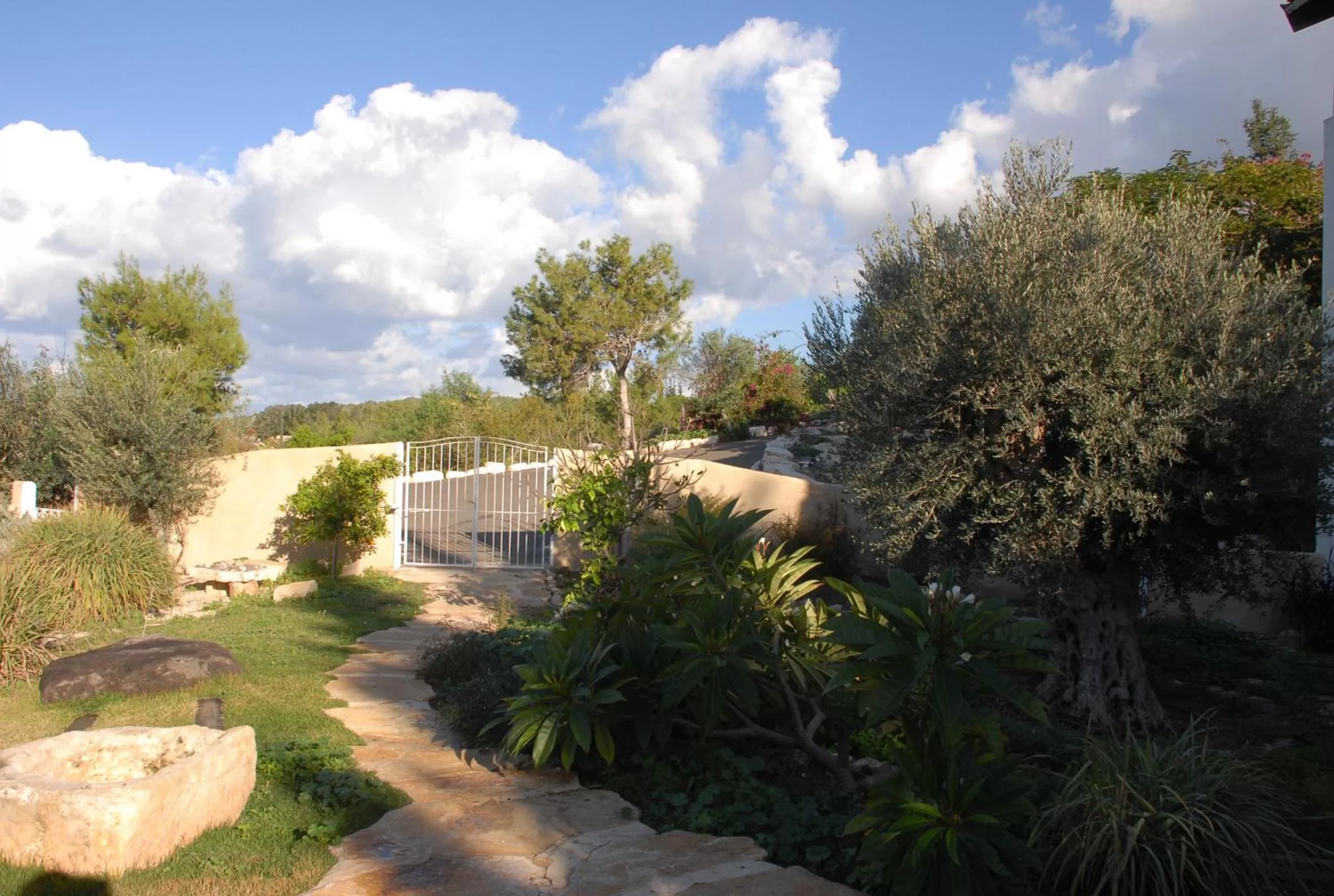 Garden view, Pool View in Above the Sea