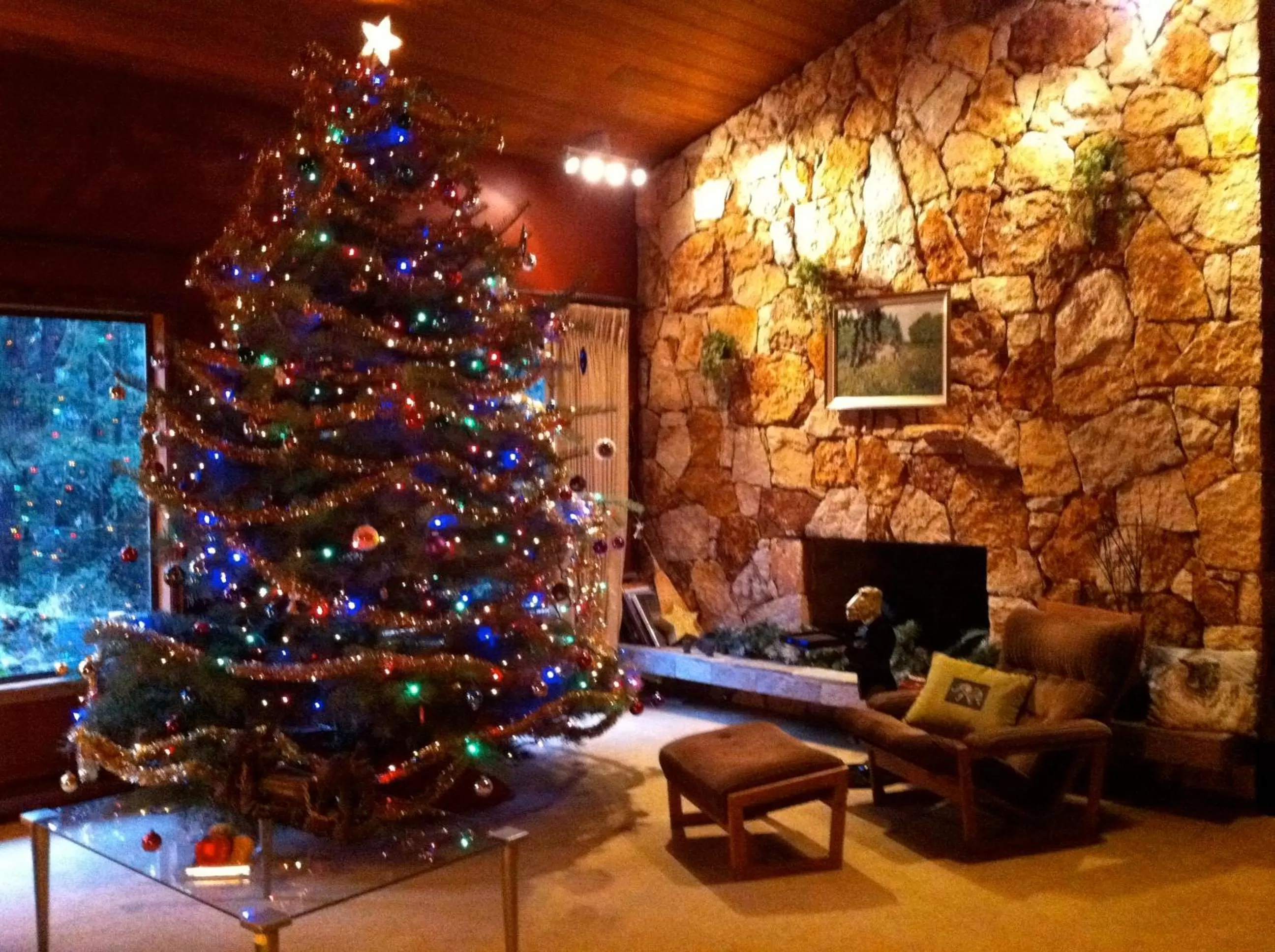 Misty Meadows B and B