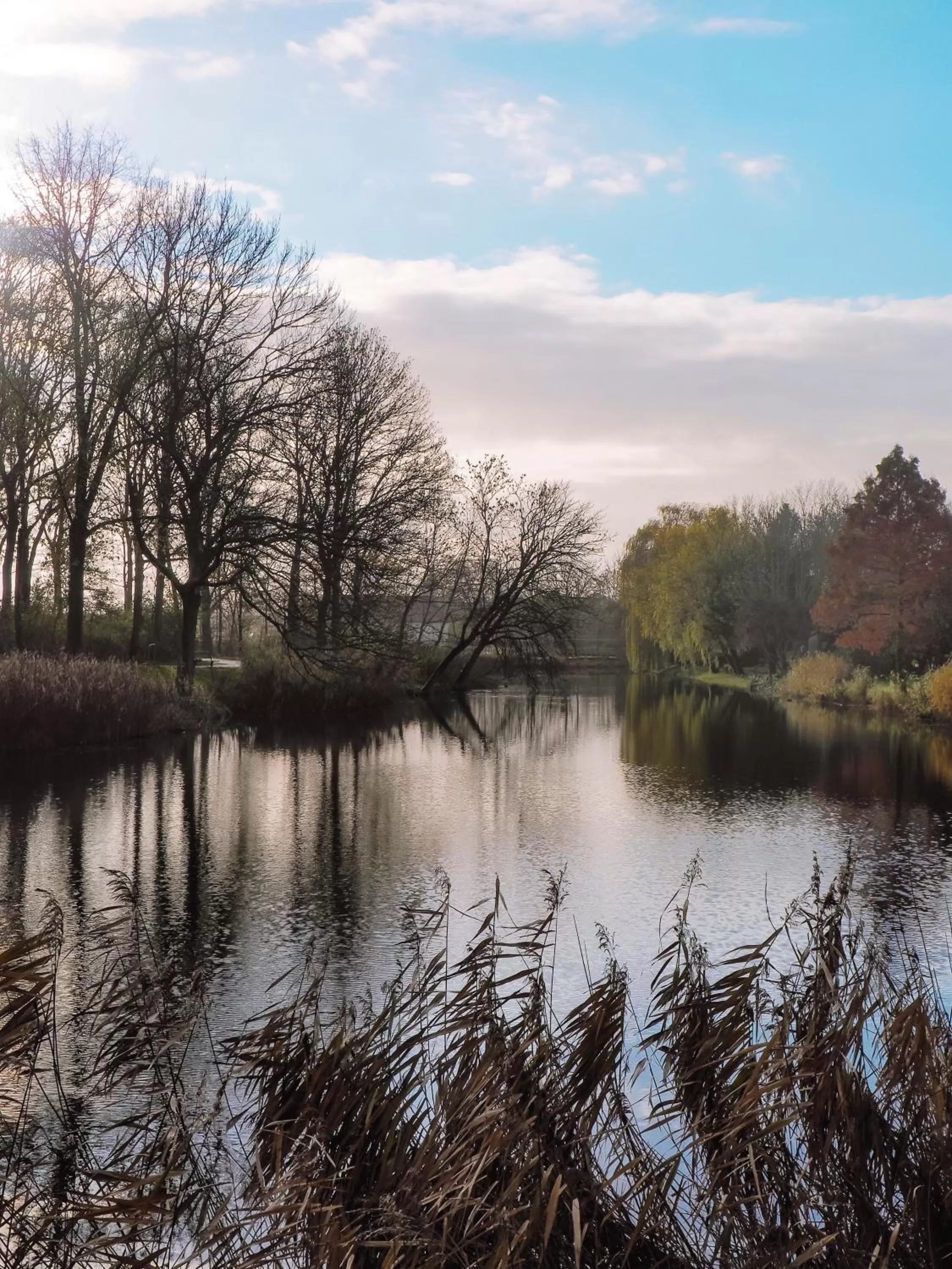 Natural Landscape in B&B Tholen