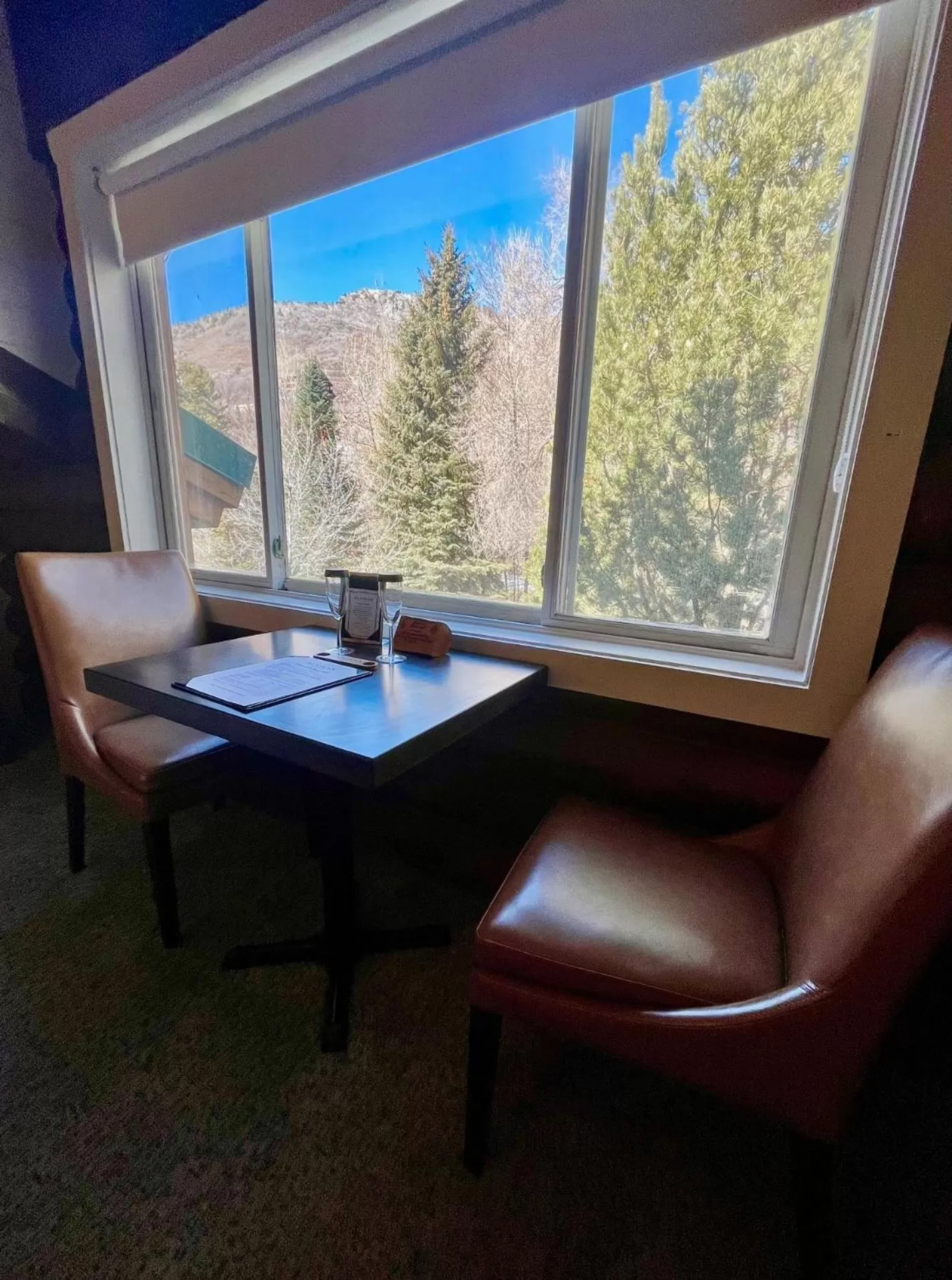 View (from property/room) in Alaskan Inn and Spa