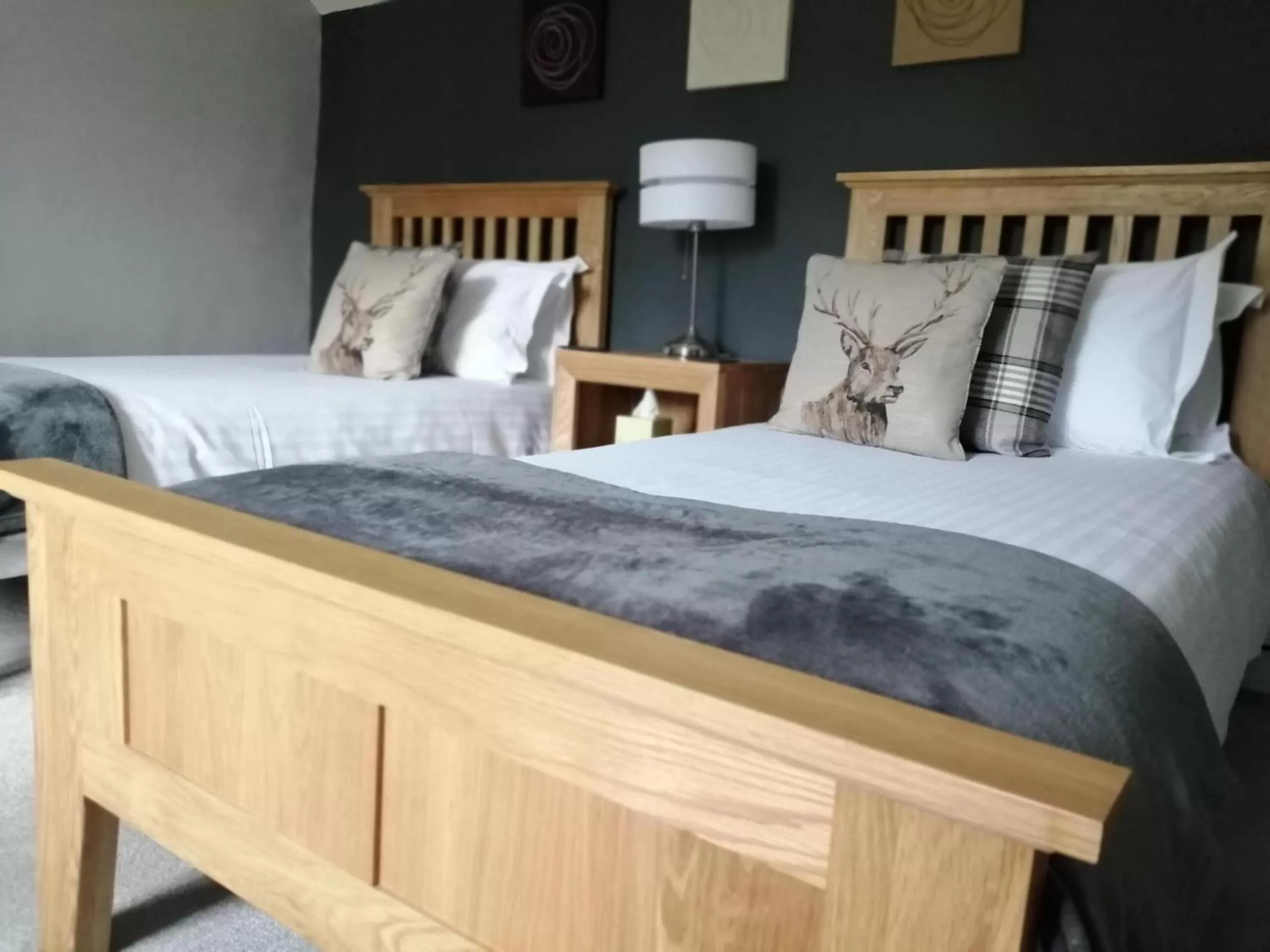 Twin Room with Private Bathroom in Worth House Bed and Breakfast