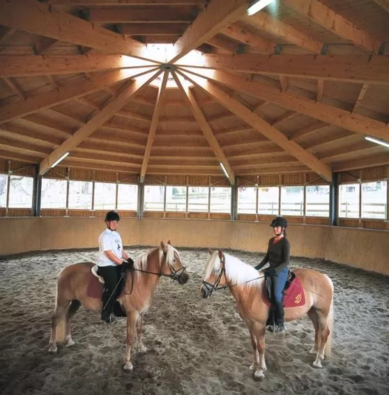 Horse-riding, Horseback Riding in Hotel Hauserwirt