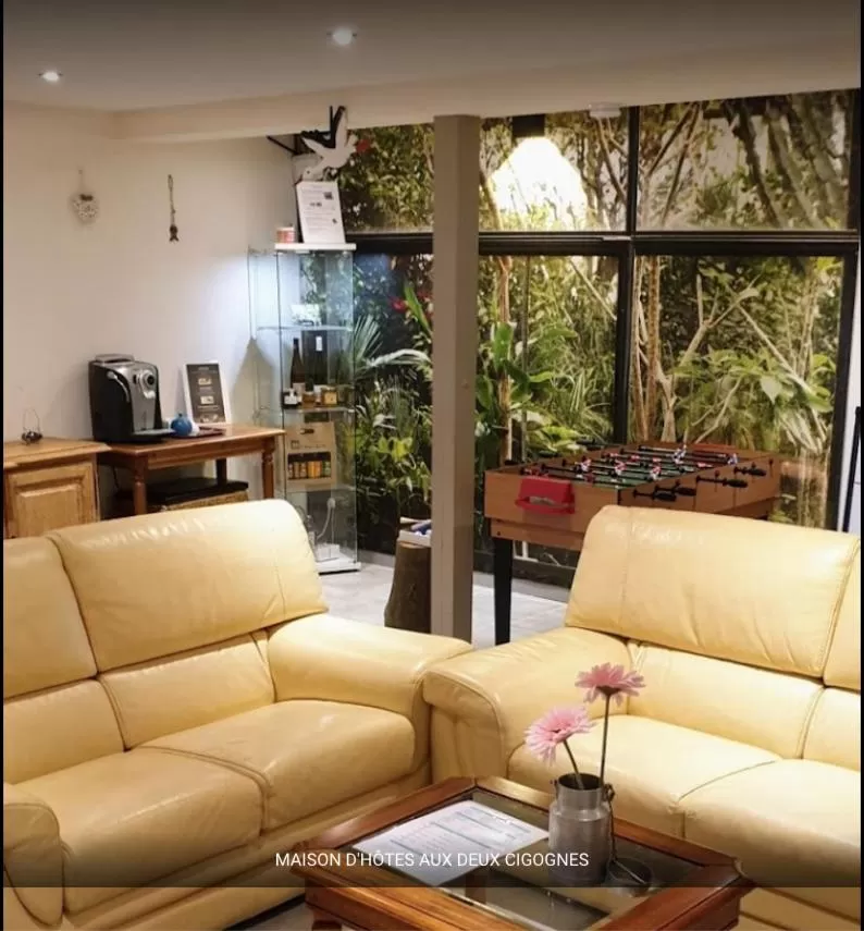 Communal lounge/ TV room, Seating Area in Maison d'hôtes Aux Deux Cigognes