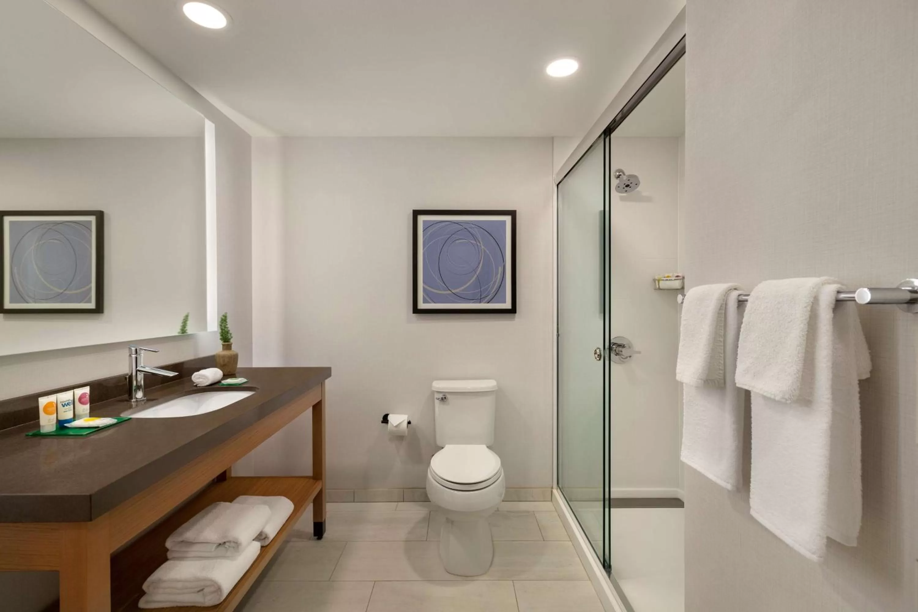 Bathroom in Hyatt Place Tucson Central