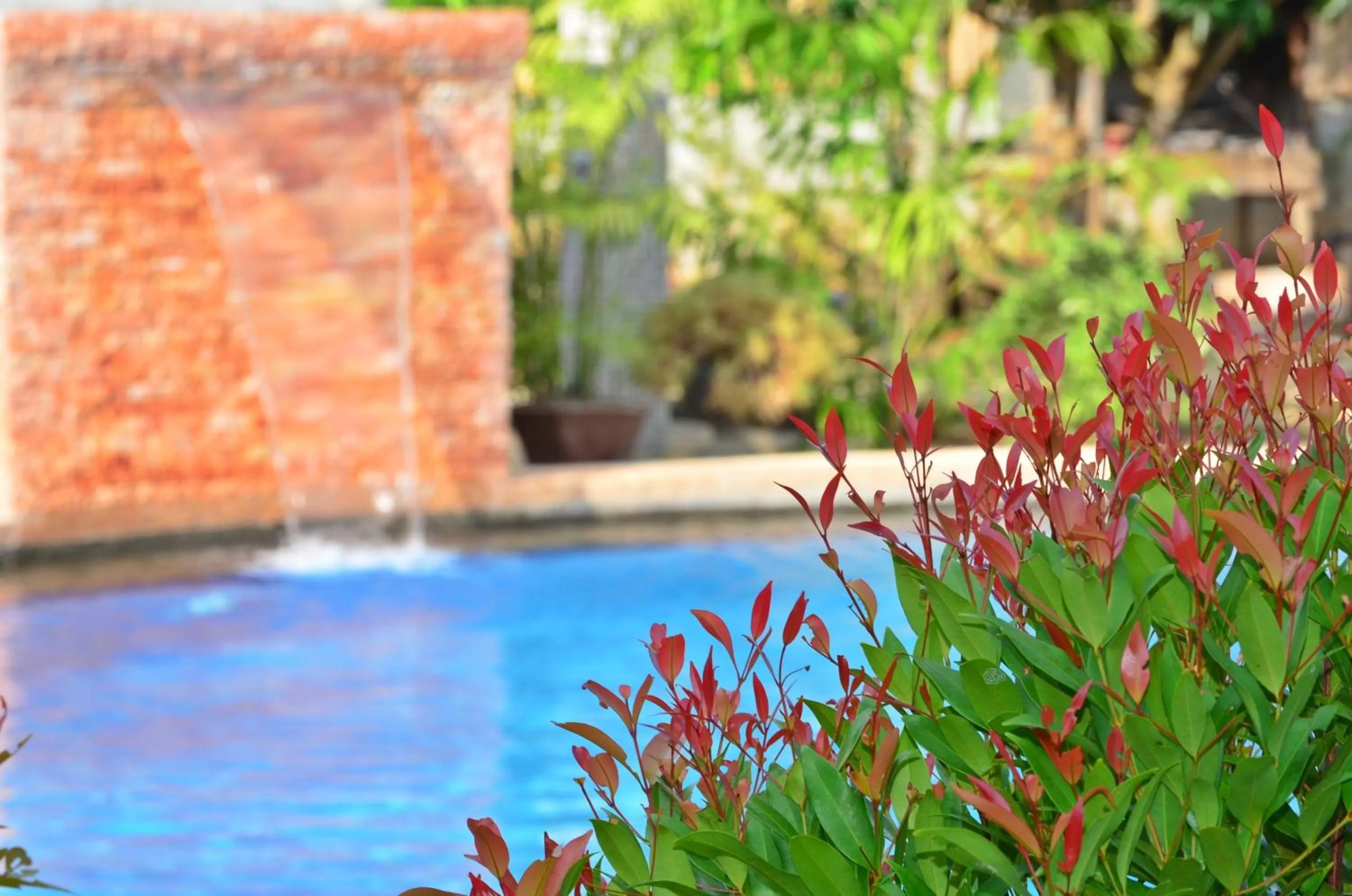 Day in Veraneante Resort