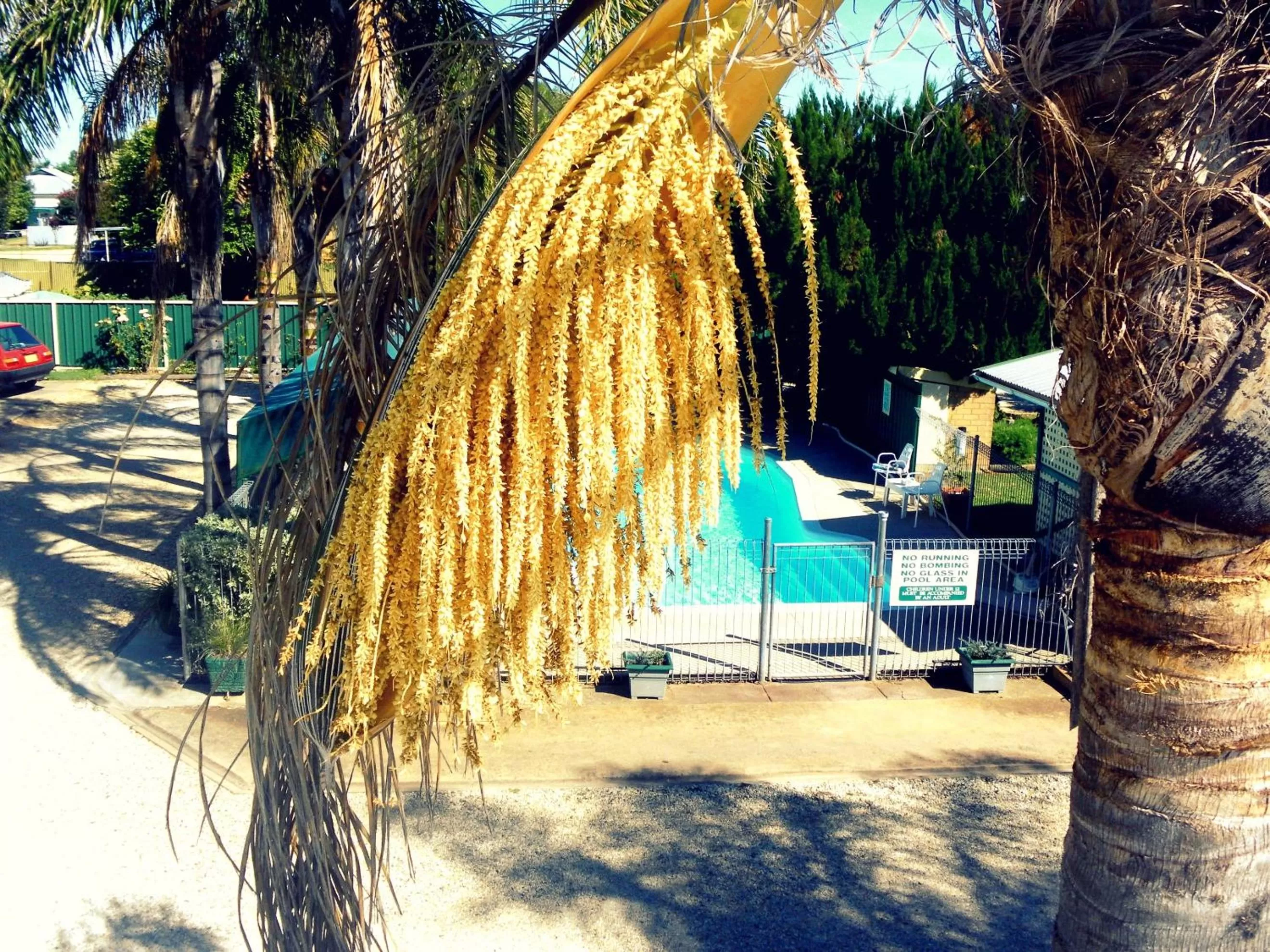Pool view in Lone Pine Motel