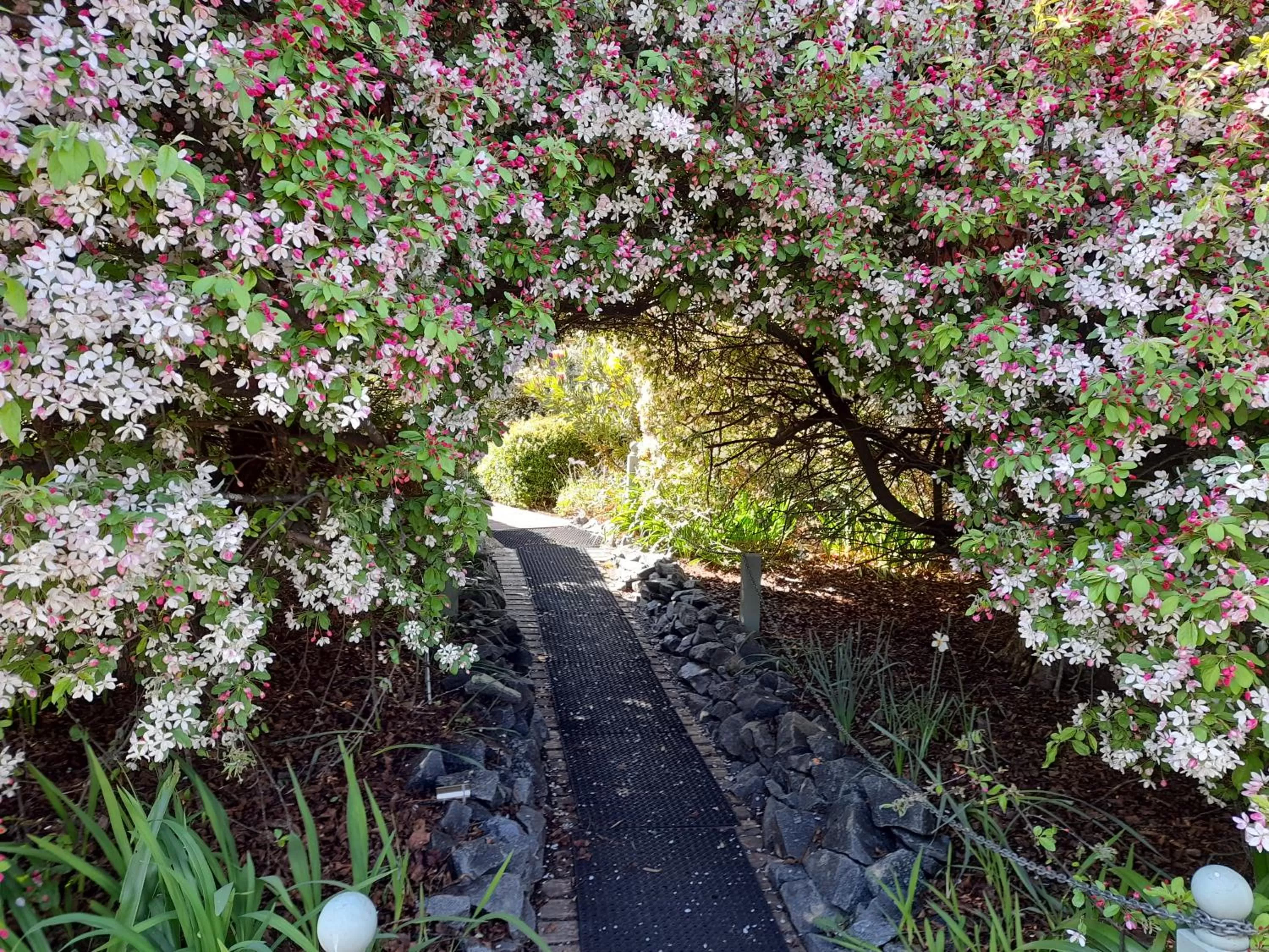 Hillside Bed and Breakfast