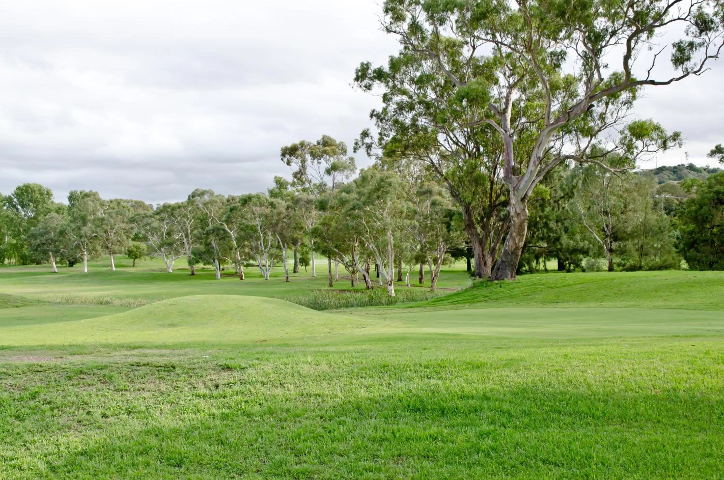 View (from property/room) in Baybrook Motor Inn