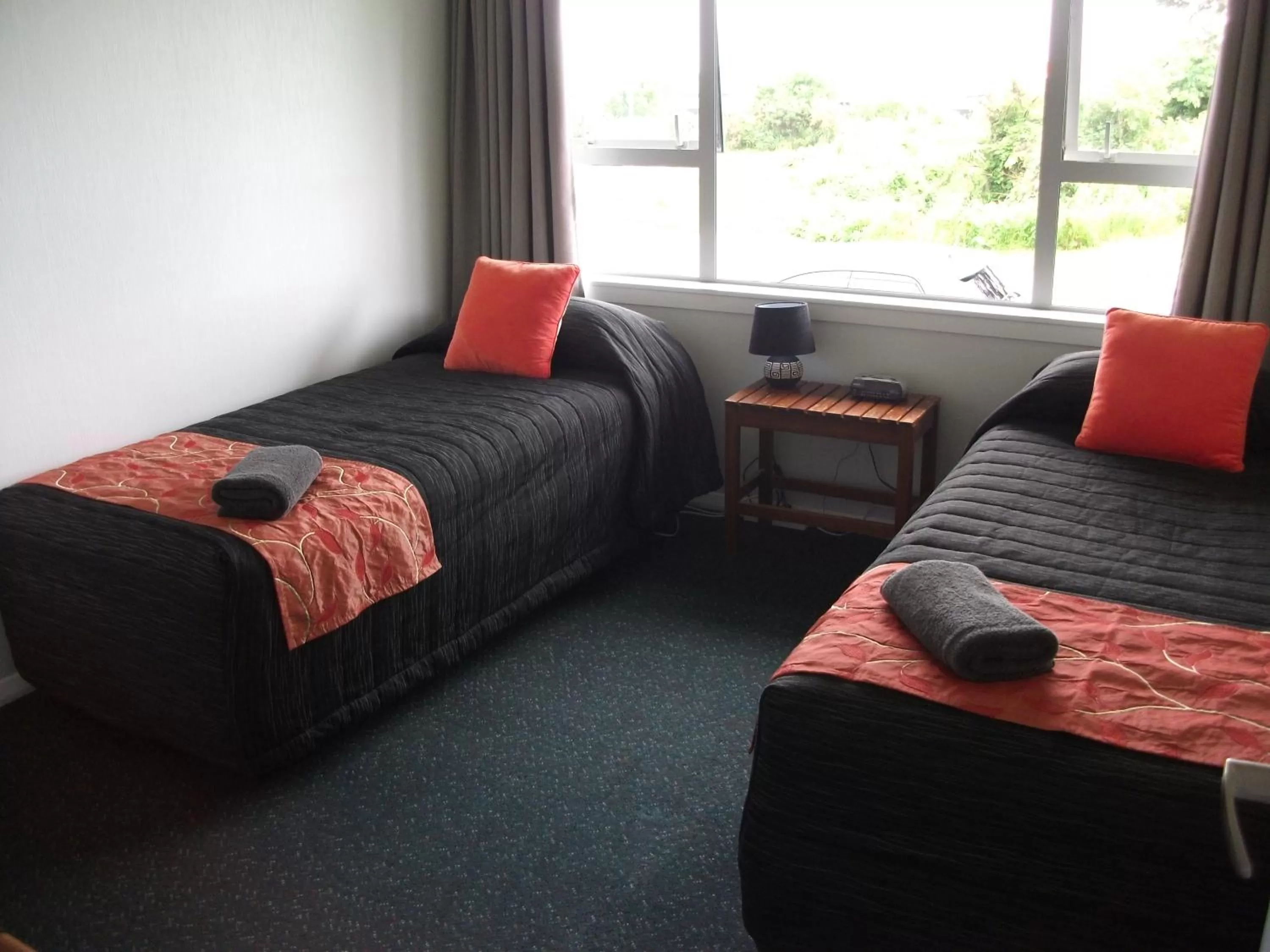 Standard Twin Apartment in Scenicland Motels