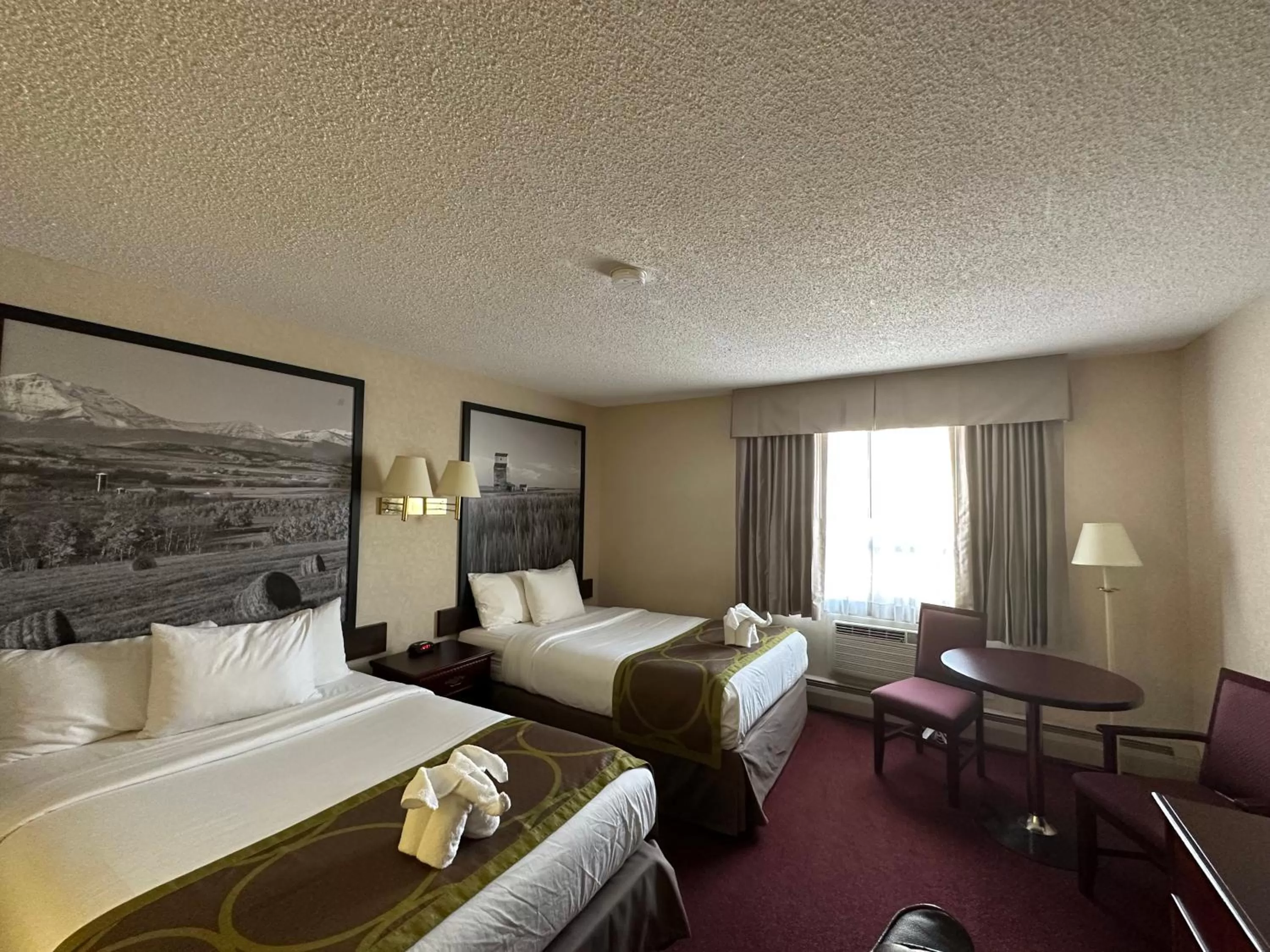 Bed in Super 8 by Wyndham Lethbridge