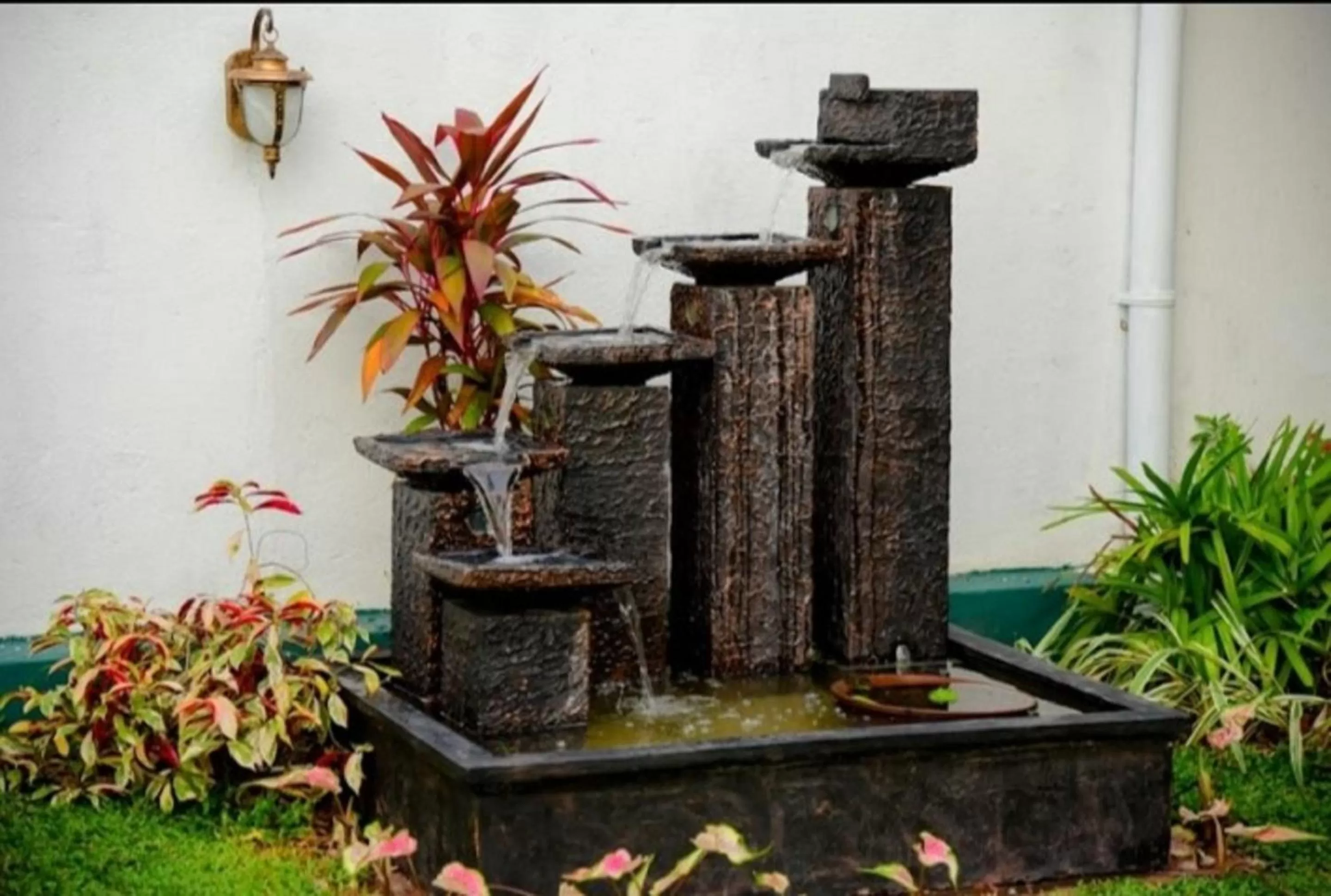 Garden in Slnco Villa