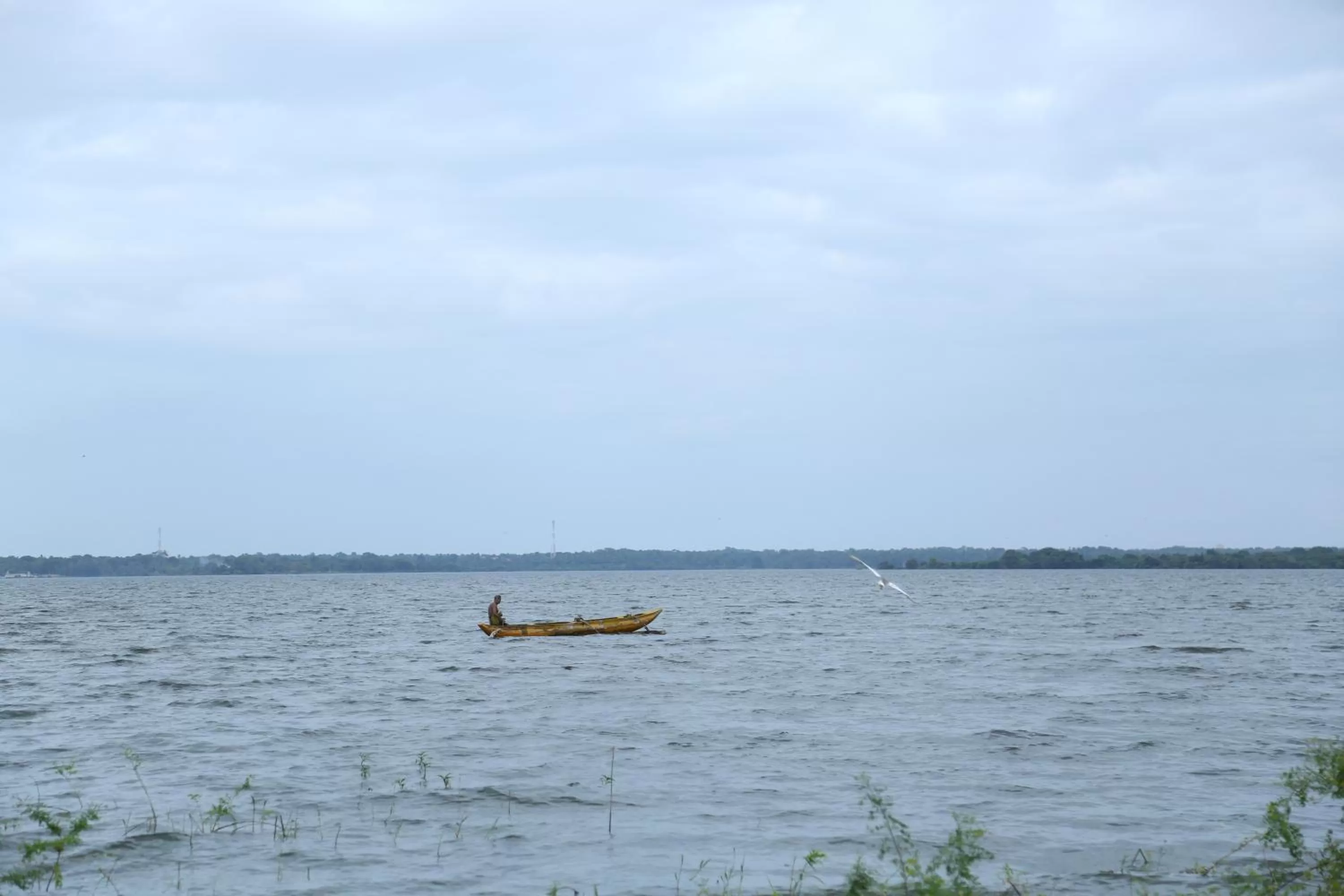 Lake view in Miridiya Lake Resort
