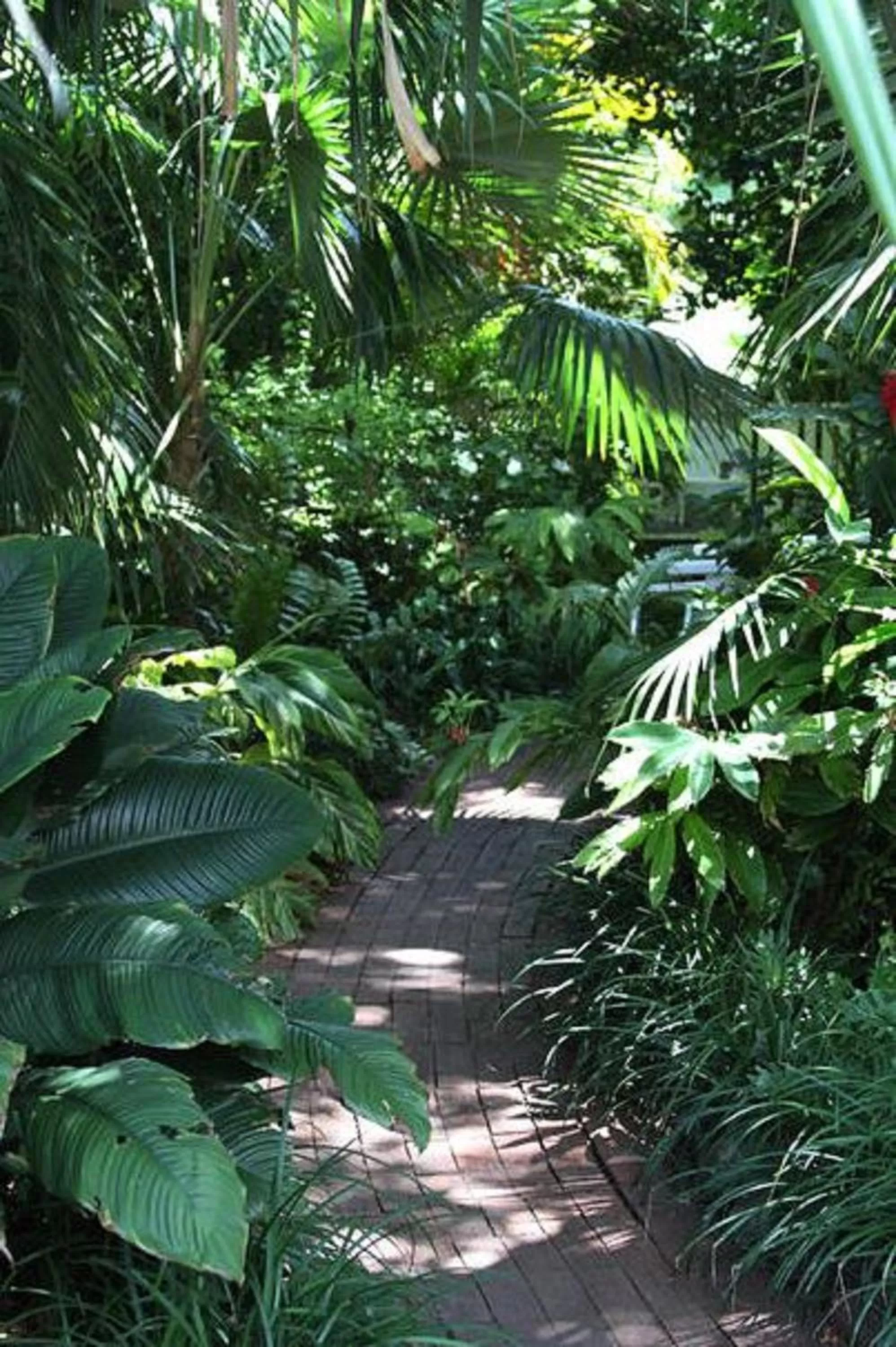 Garden in Duval House