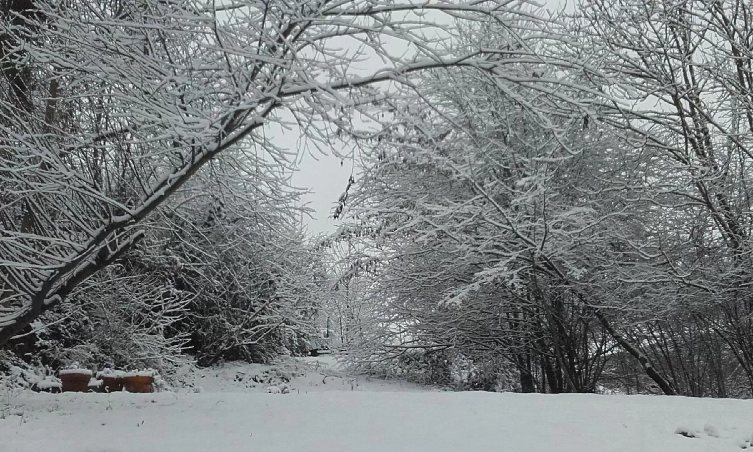 Natural landscape in B&B Les Lits de Nohaipré