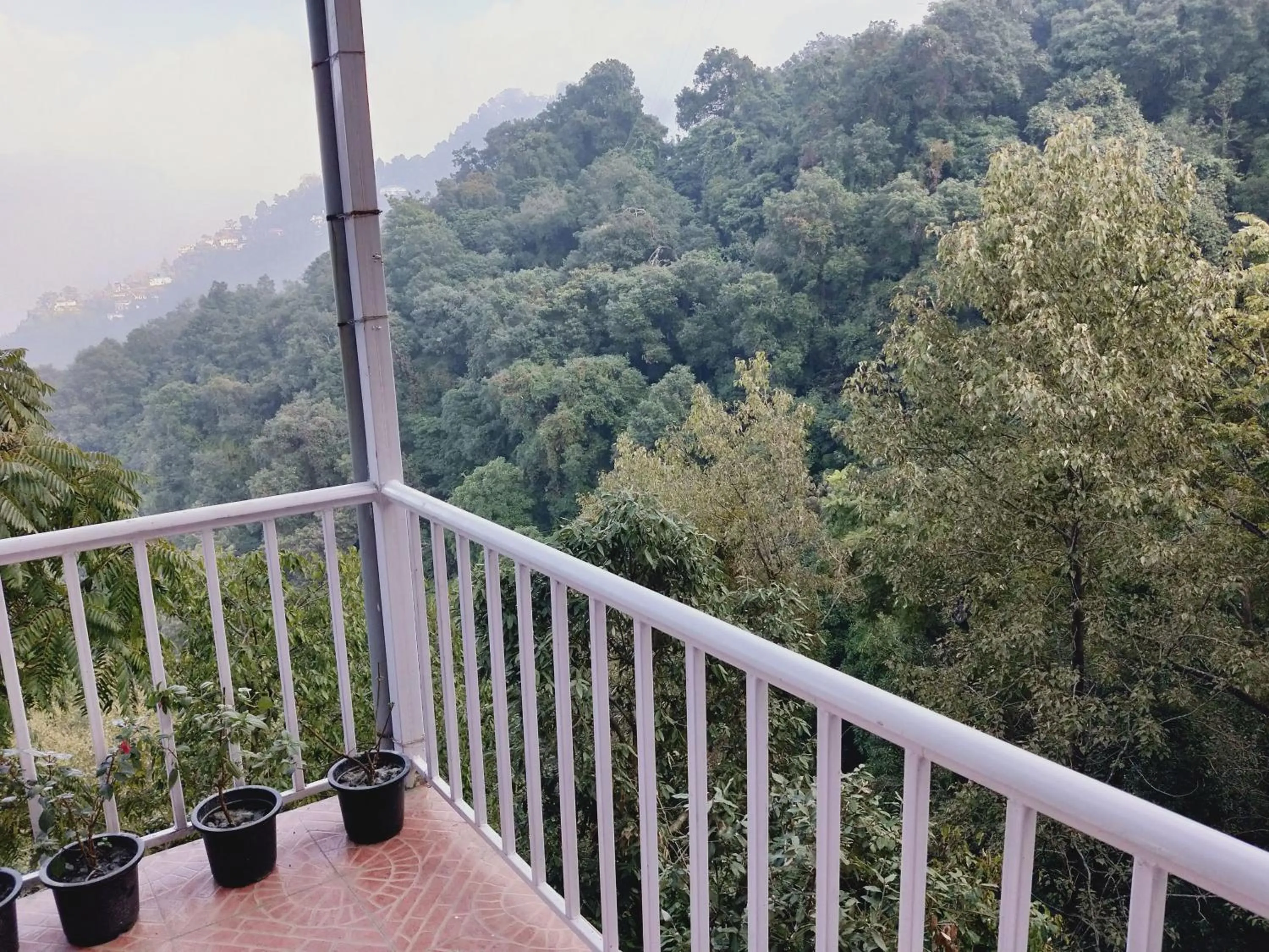 Balcony/Terrace in The Mountain Quail