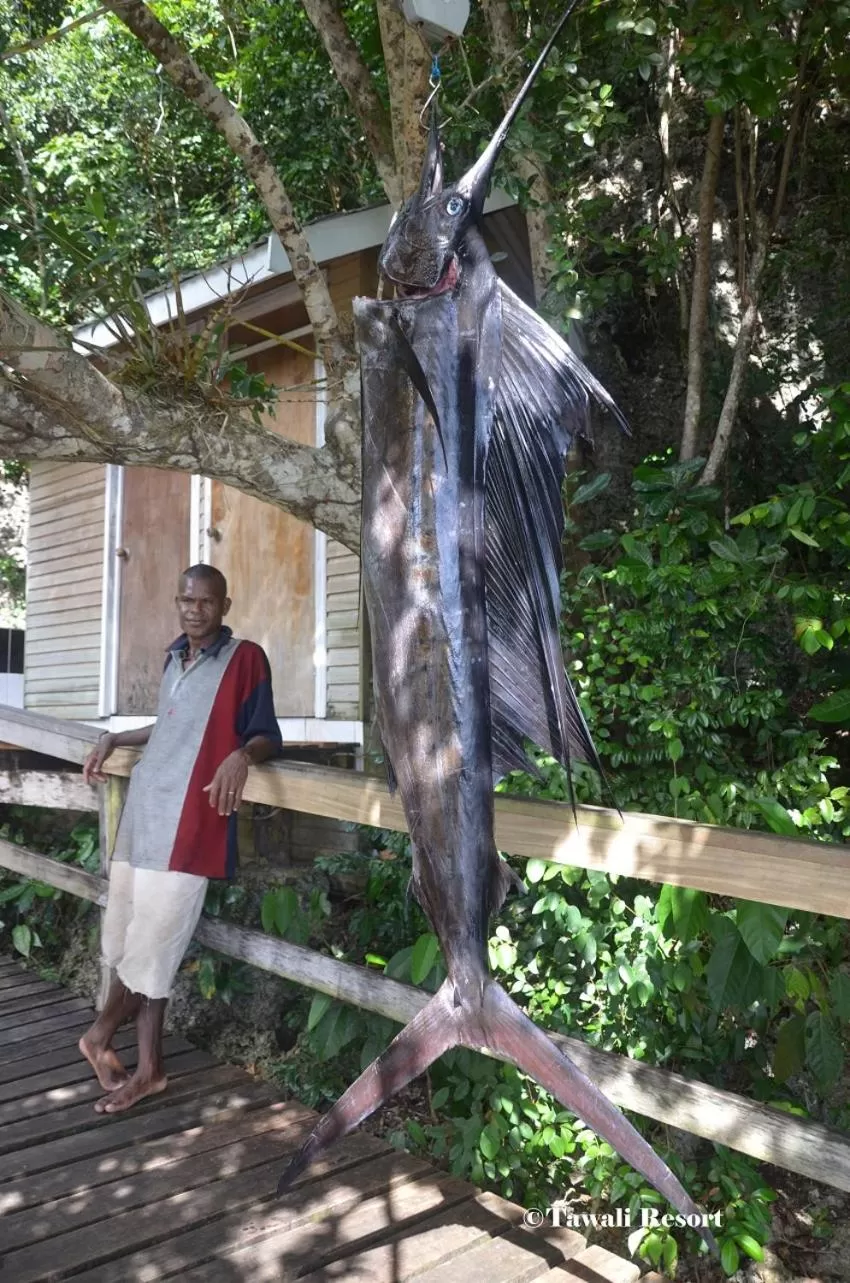 Tawali Leisure & Dive Resort