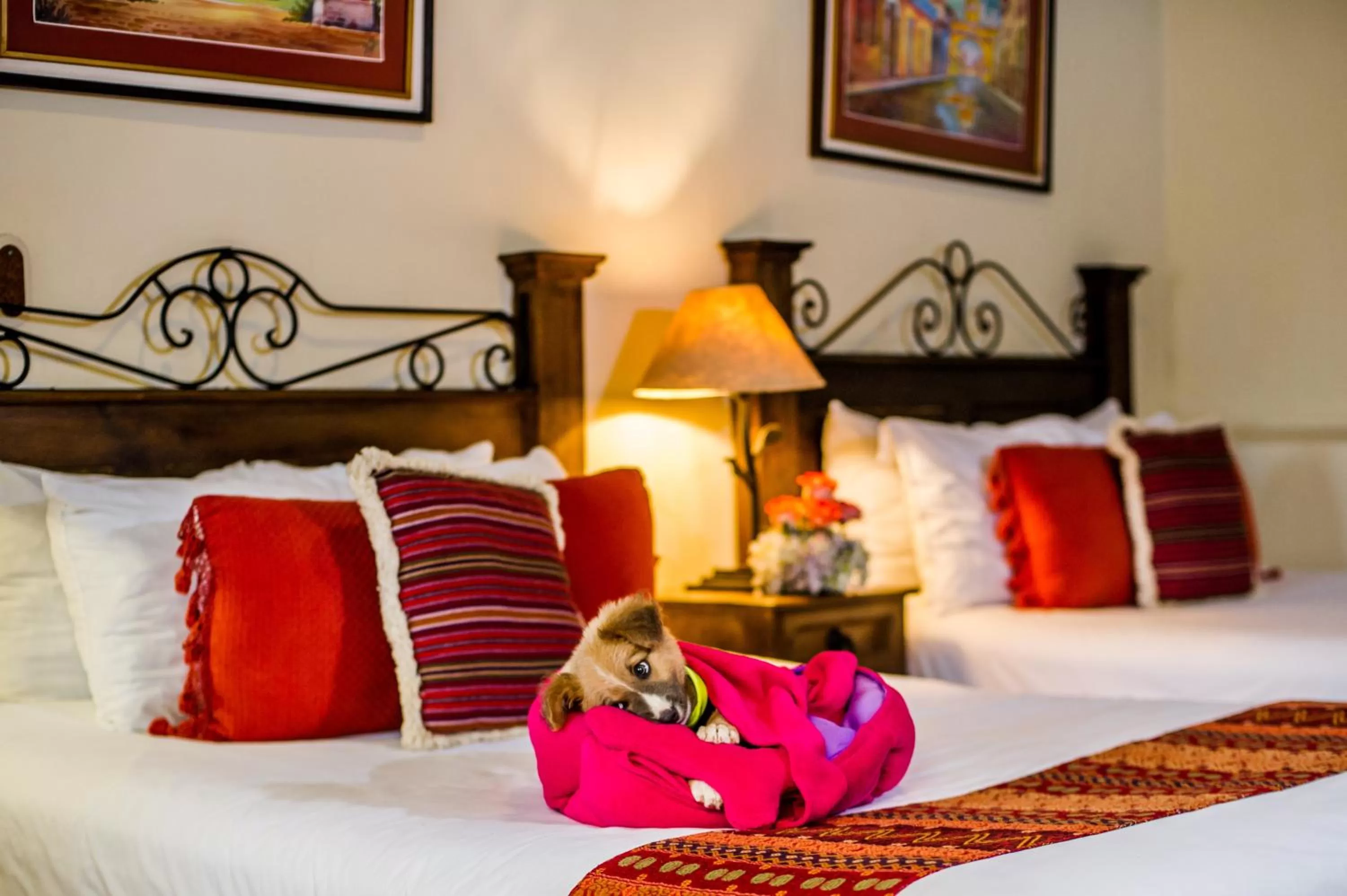 Photo of the whole room, Bed in Hotel Meson del Valle by AHS