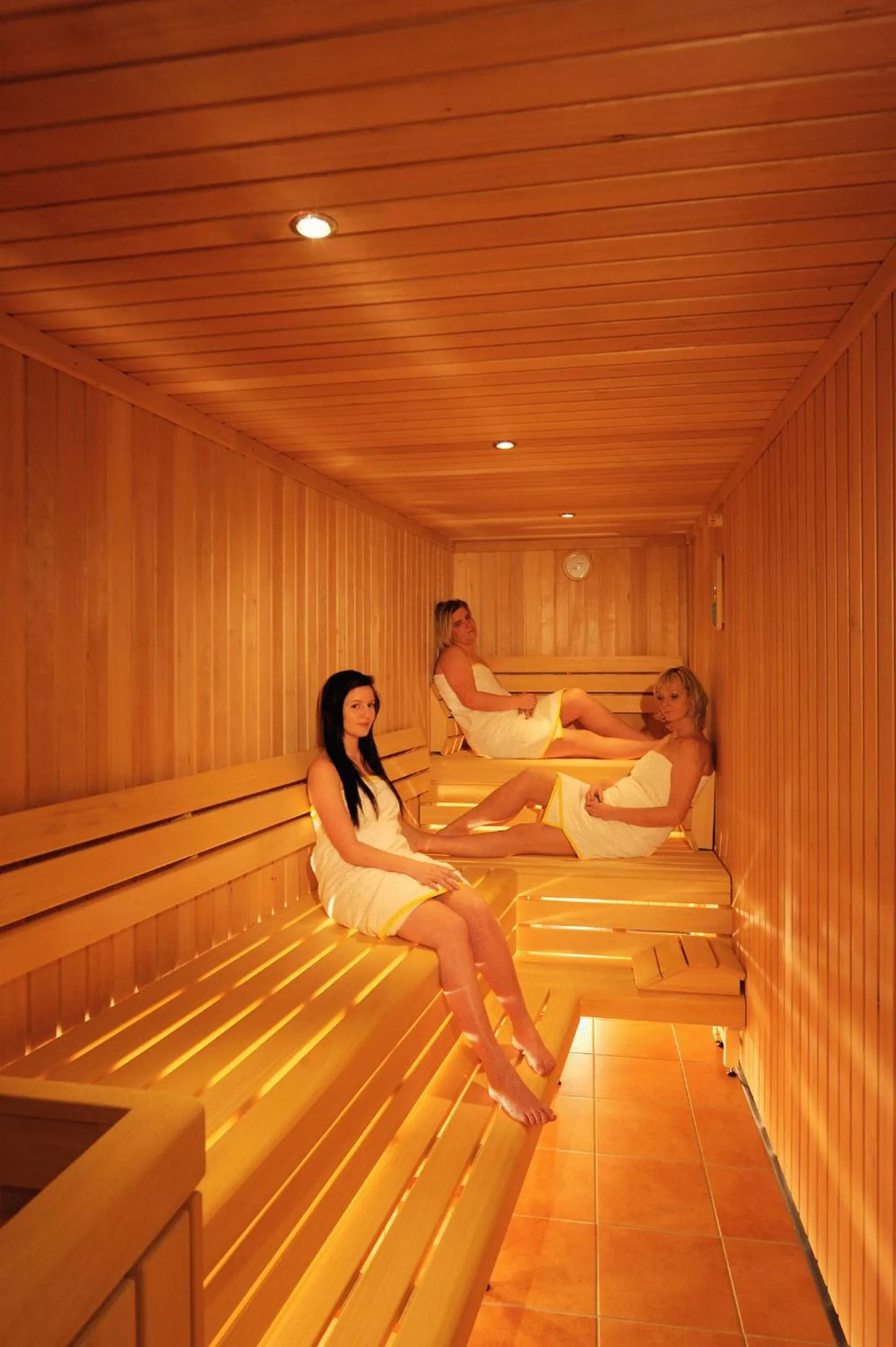 Spa and wellness centre/facilities in Werfenerhof