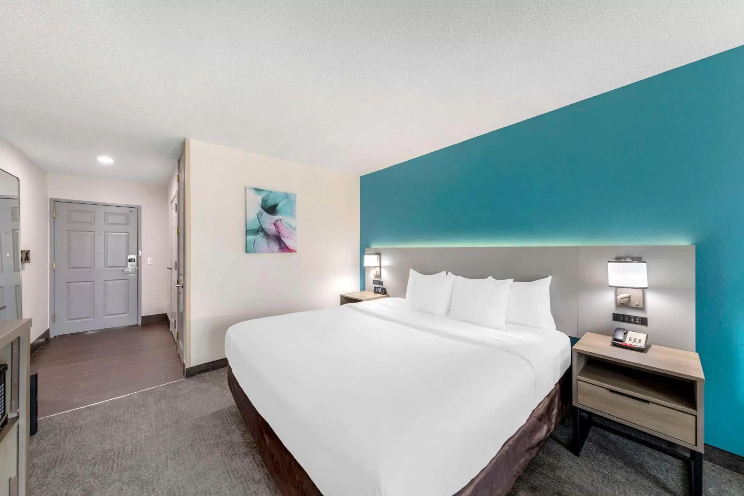 King Room with Roll-In Shower - Accessible/Non-Smoking in Comfort Inn US Hwy 80 King Room with Roll-In Shower - Accessible/Non-Smoking in Comfort Inn US Hwy 80