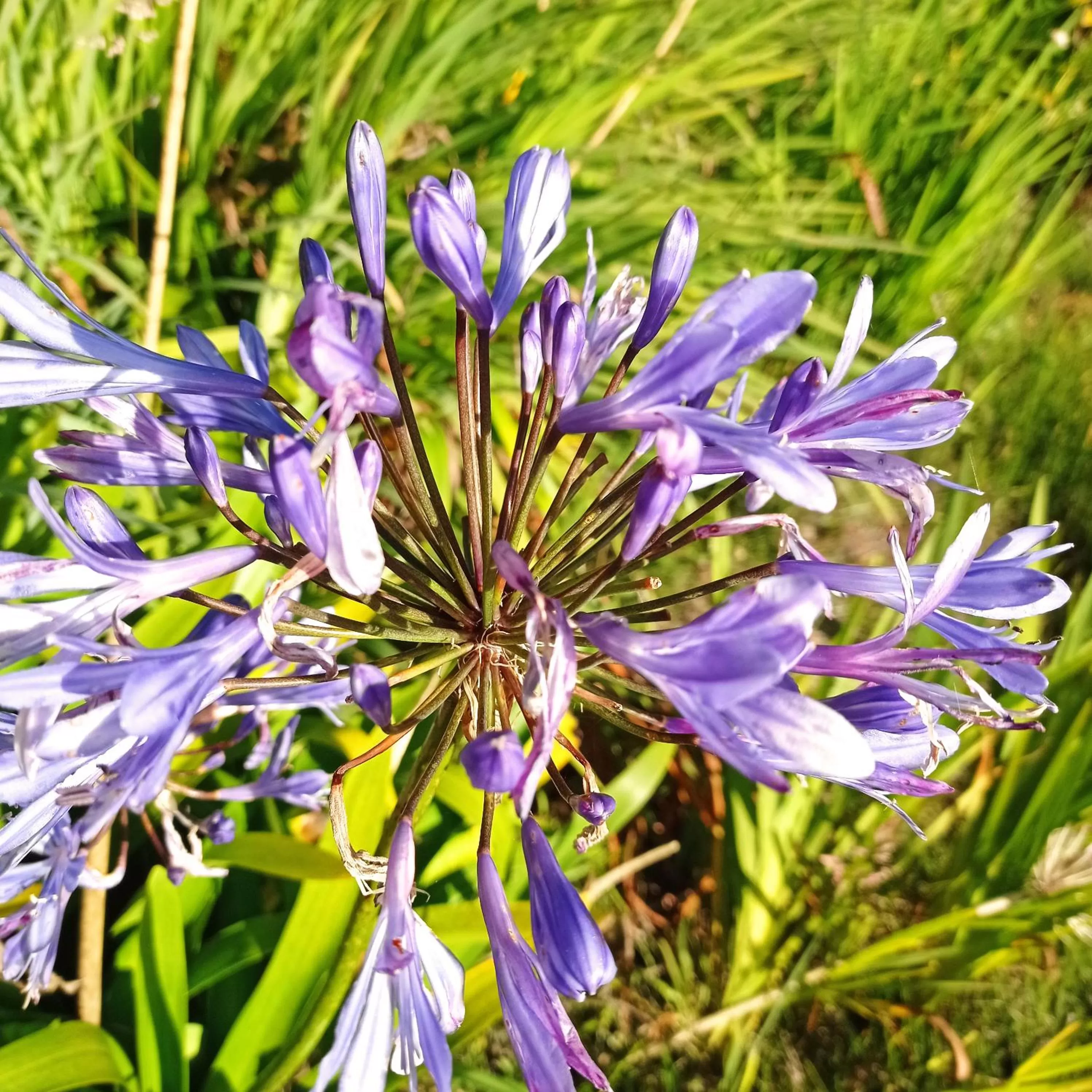 Hotel Refugio Pozo Azul