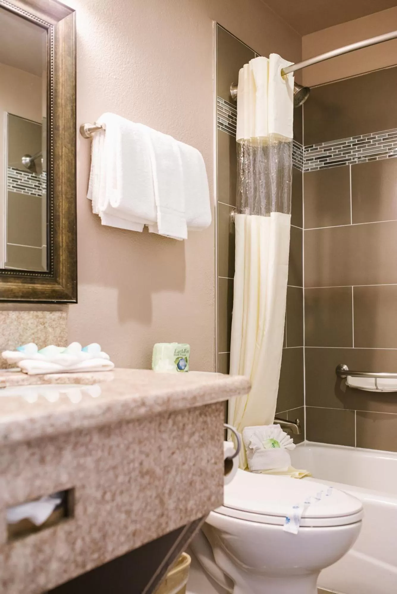 Alamo Inn and Suites - Convention Center