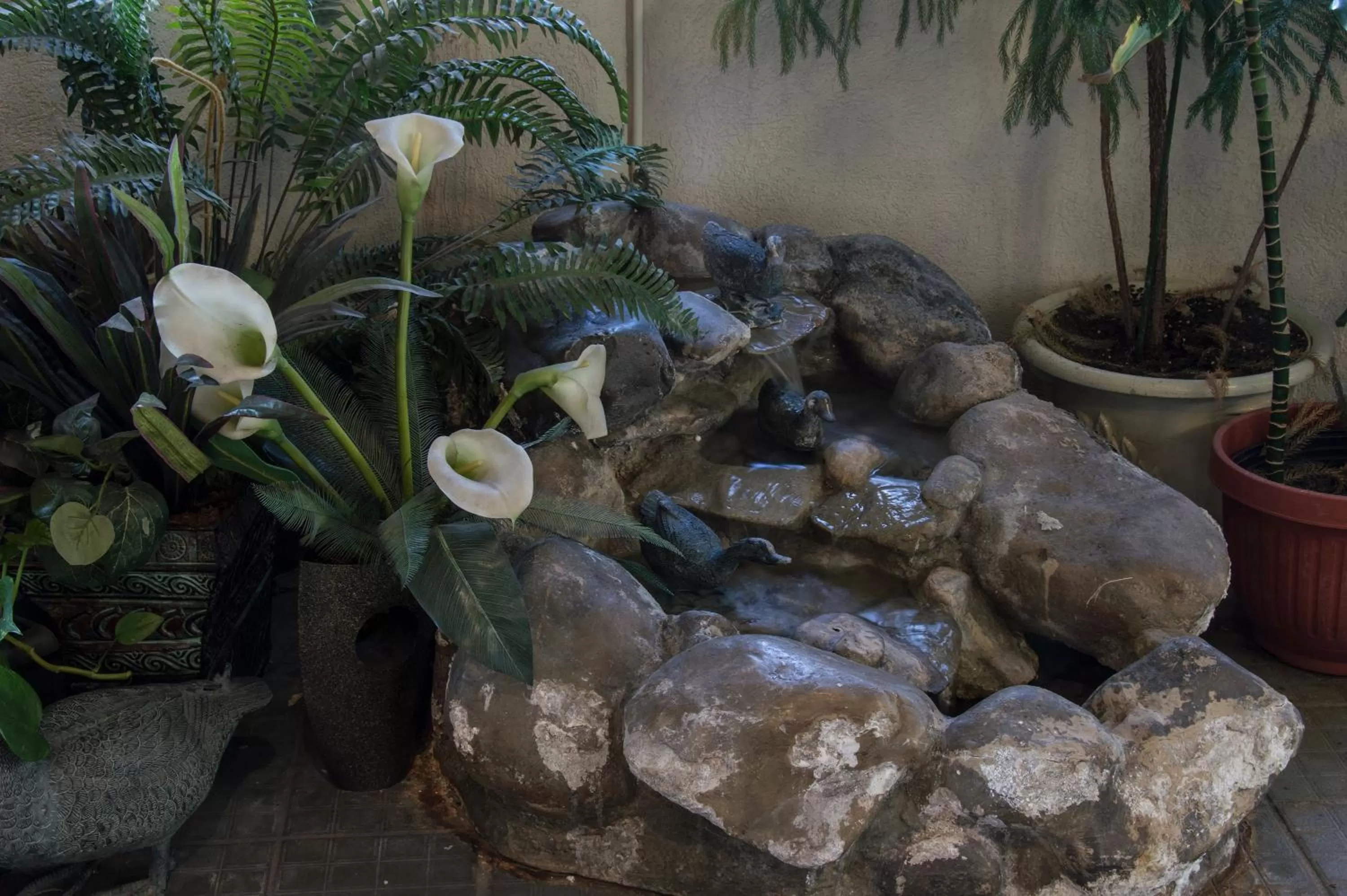 Garden, Other Animals in Lamplighter Inn & Suites Pittsburg