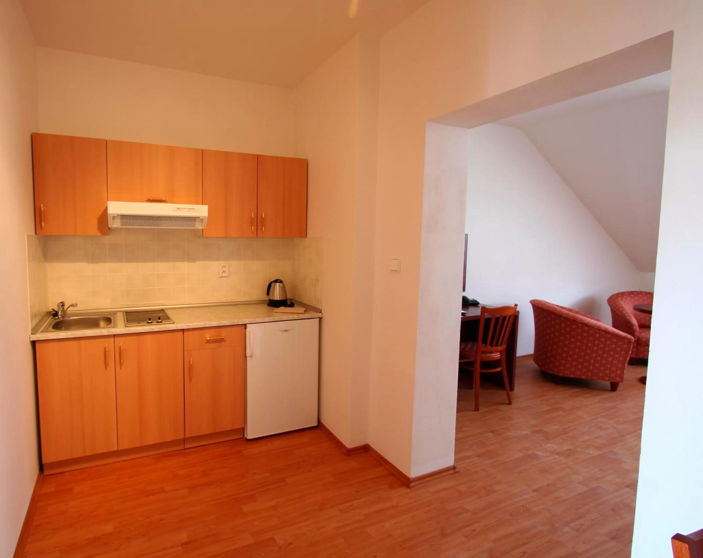 Kitchen or kitchenette in Apart Hotel Susa