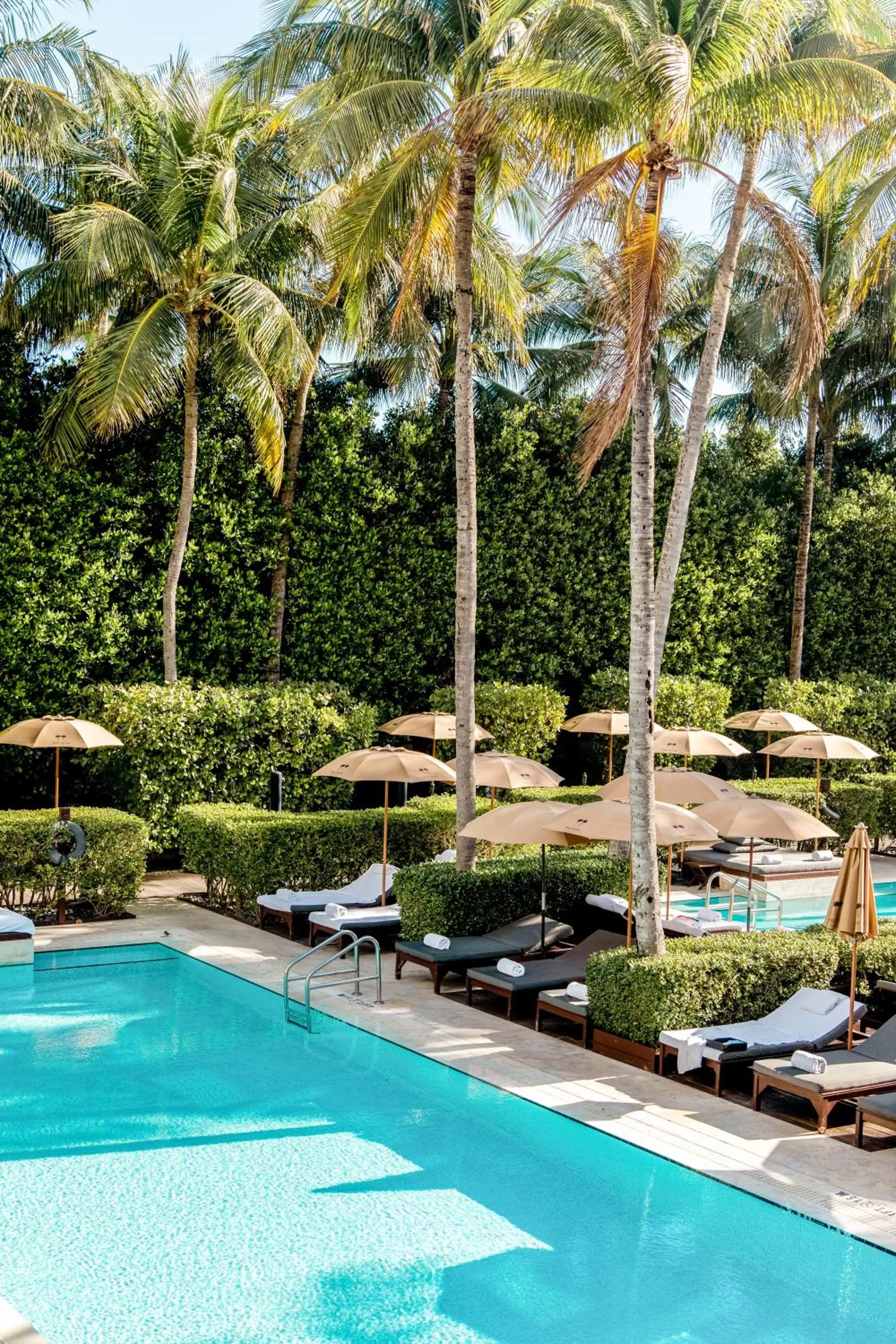 Pool view in The Setai, Miami Beach