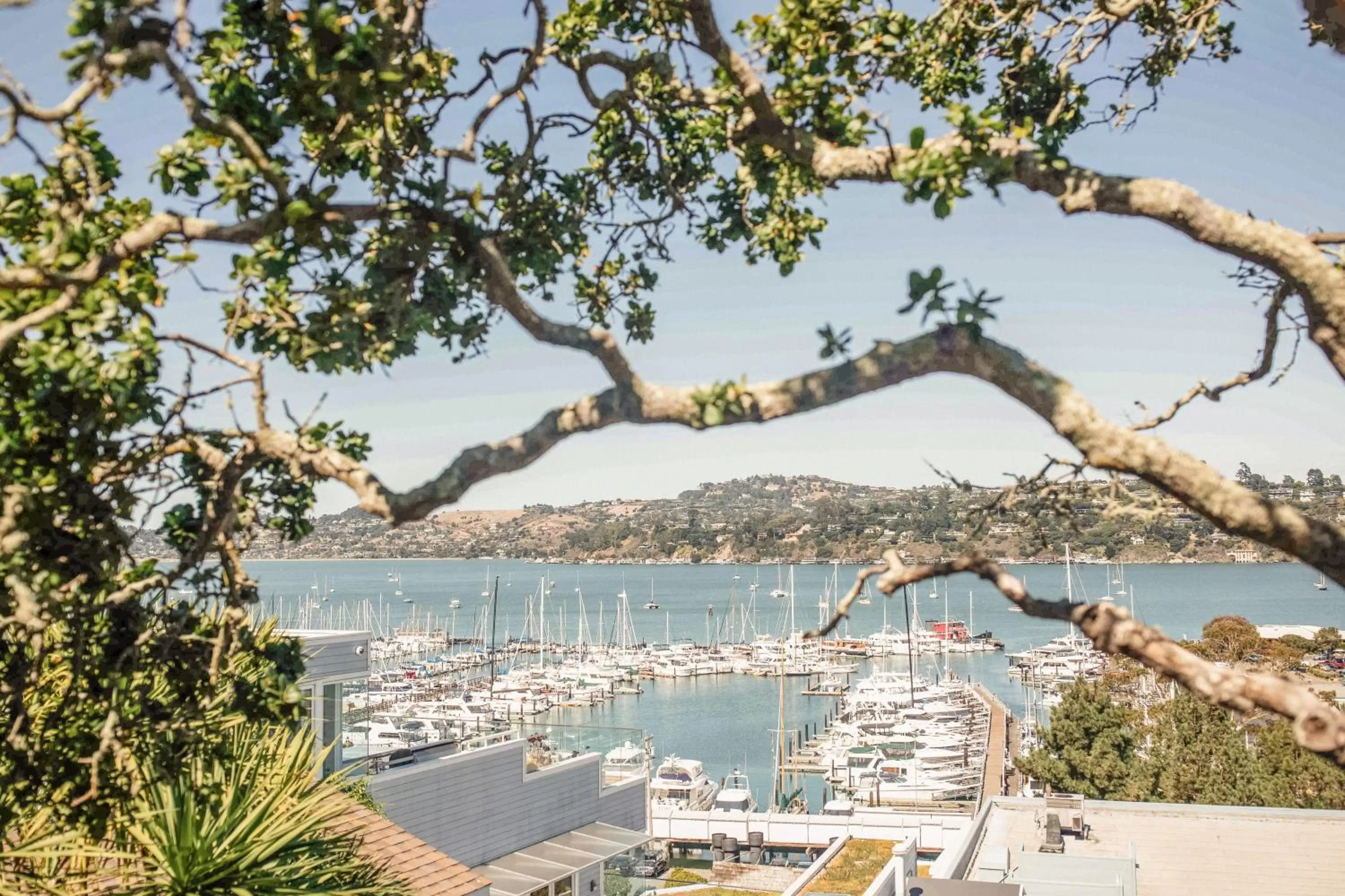 View (from property/room) in Casa Madrona Hotel and Spa