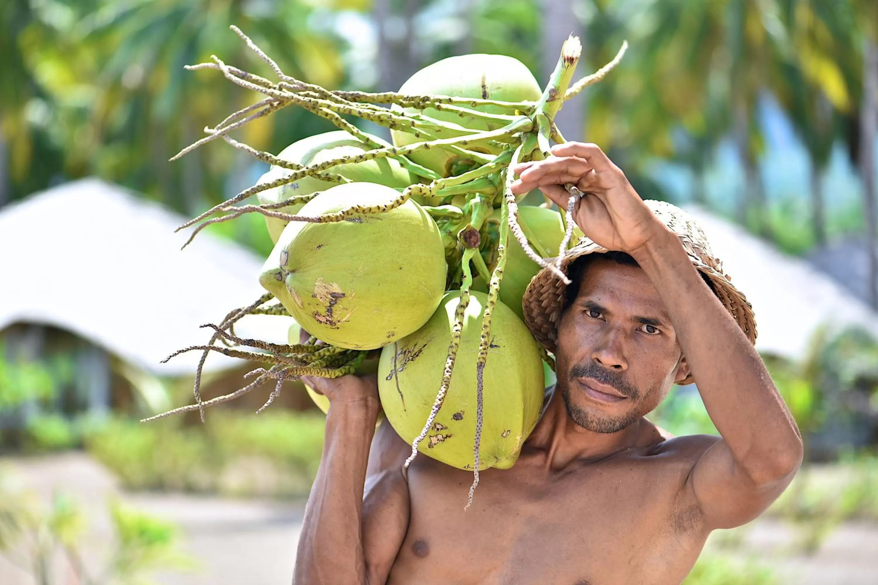 Garden in Coconut Garden Beach Resort