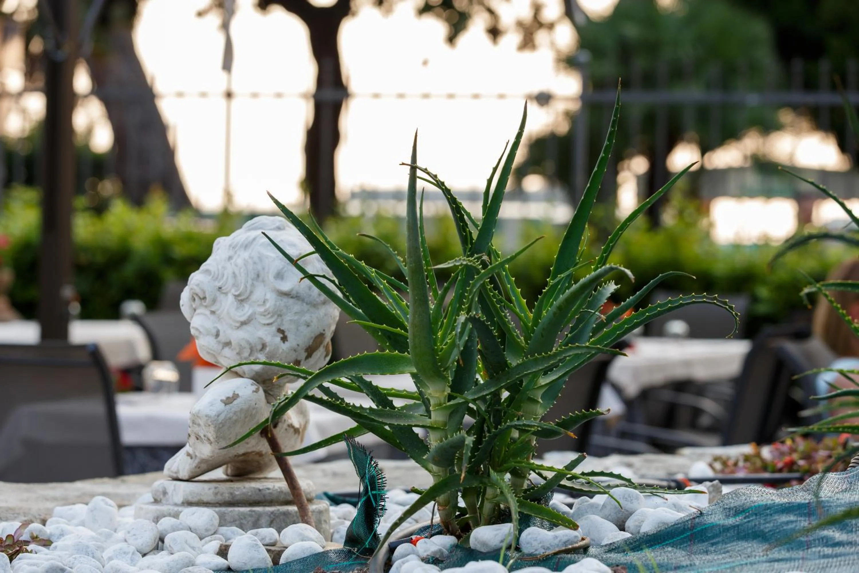 Restaurant/places to eat in Grande Albergo