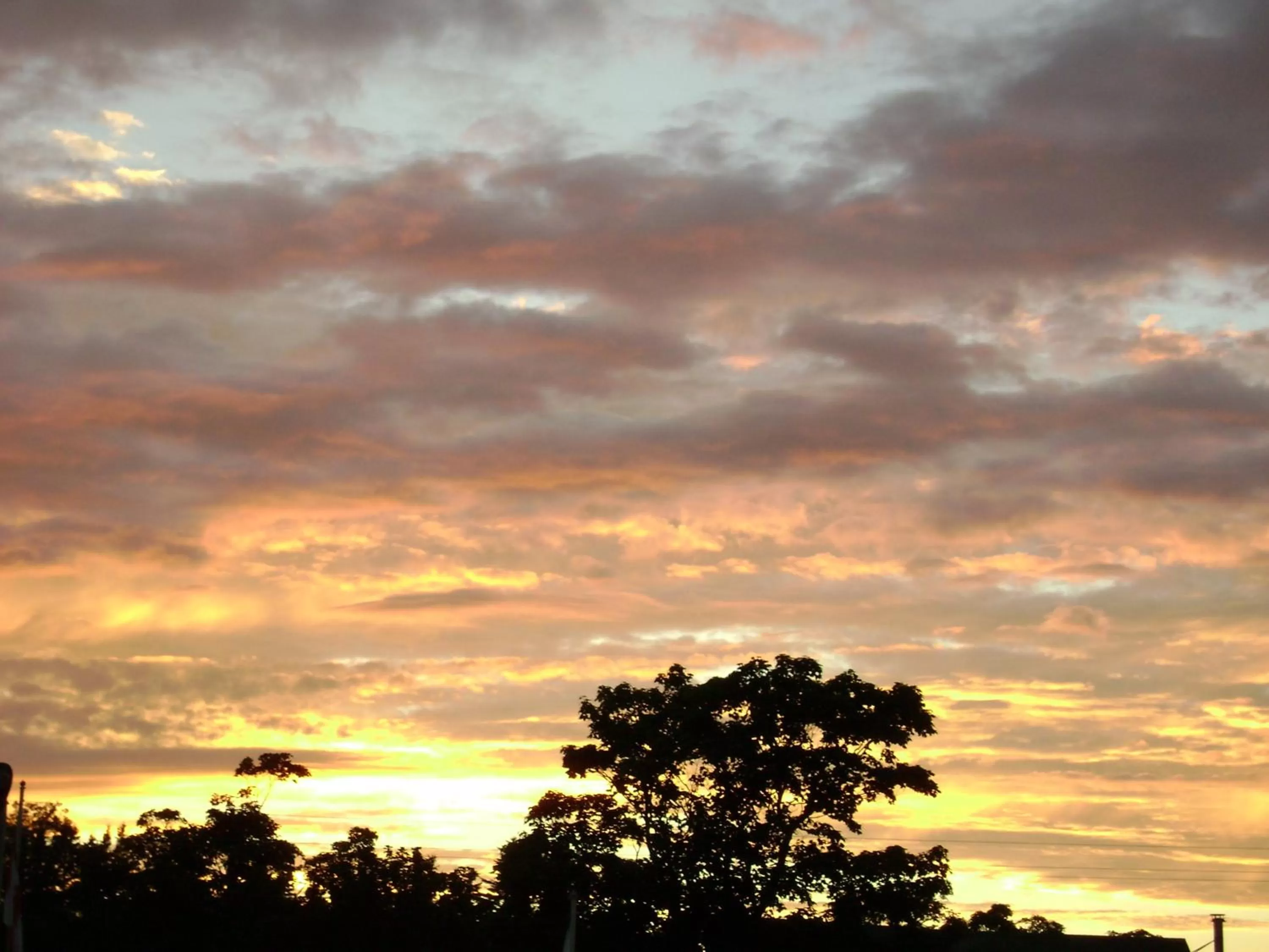 Other in Lakelawn B&B and Motel