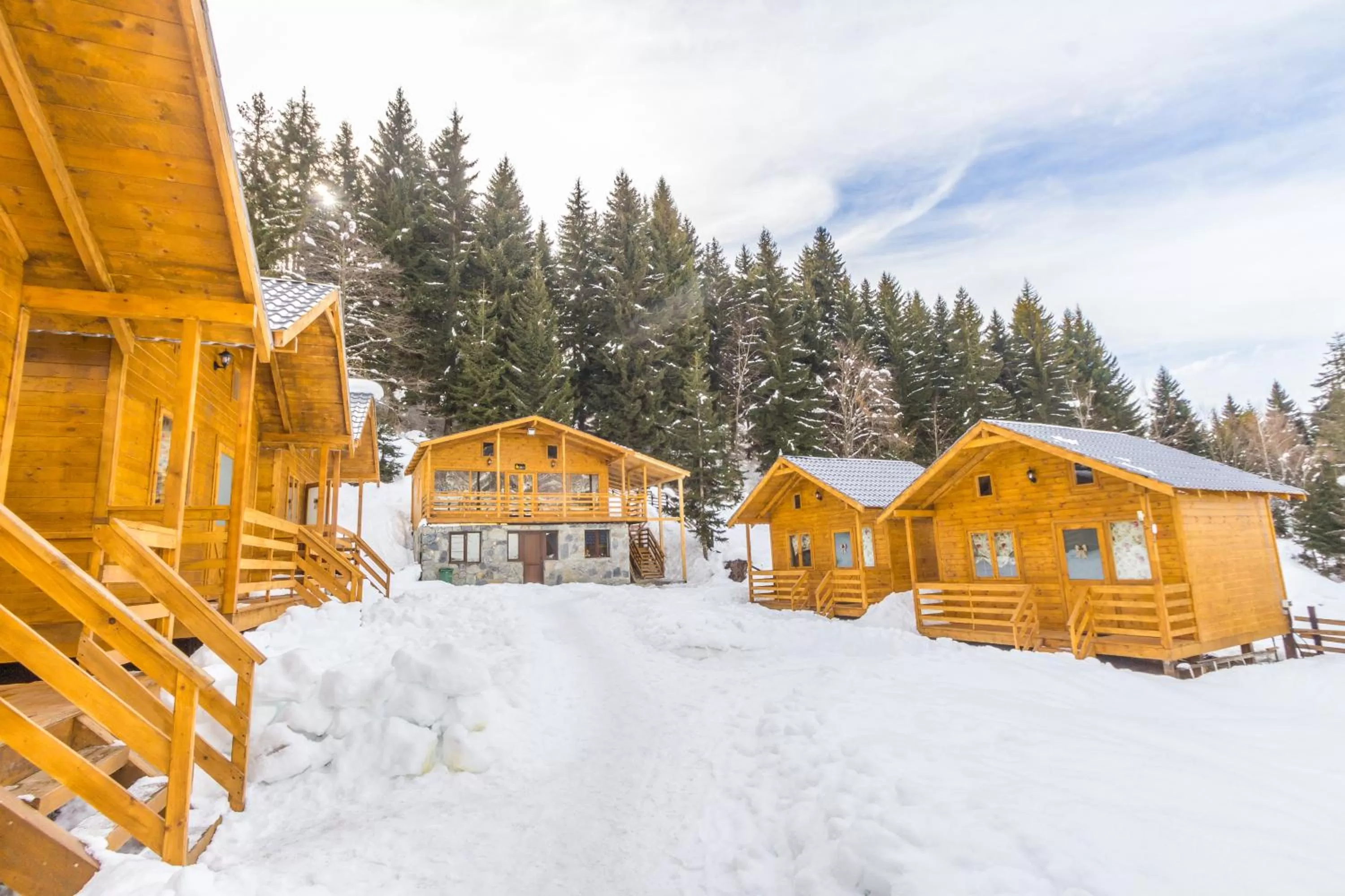 Property building in Mountain Cabins