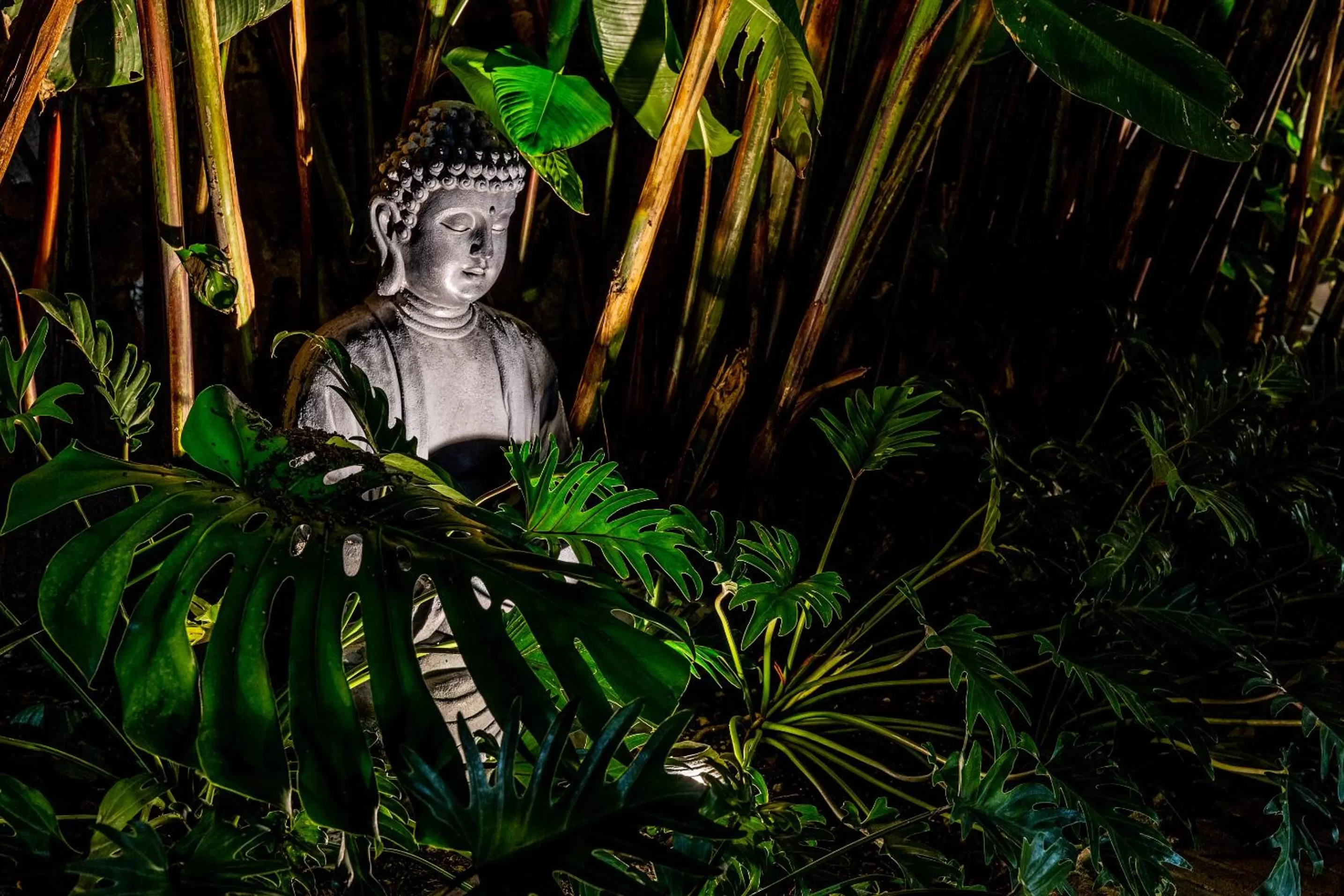 Natural landscape in Plaza Chapala Hotel