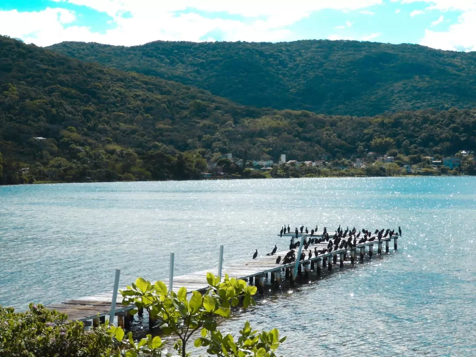 Natural landscape in Pousada Dunasol Floripa