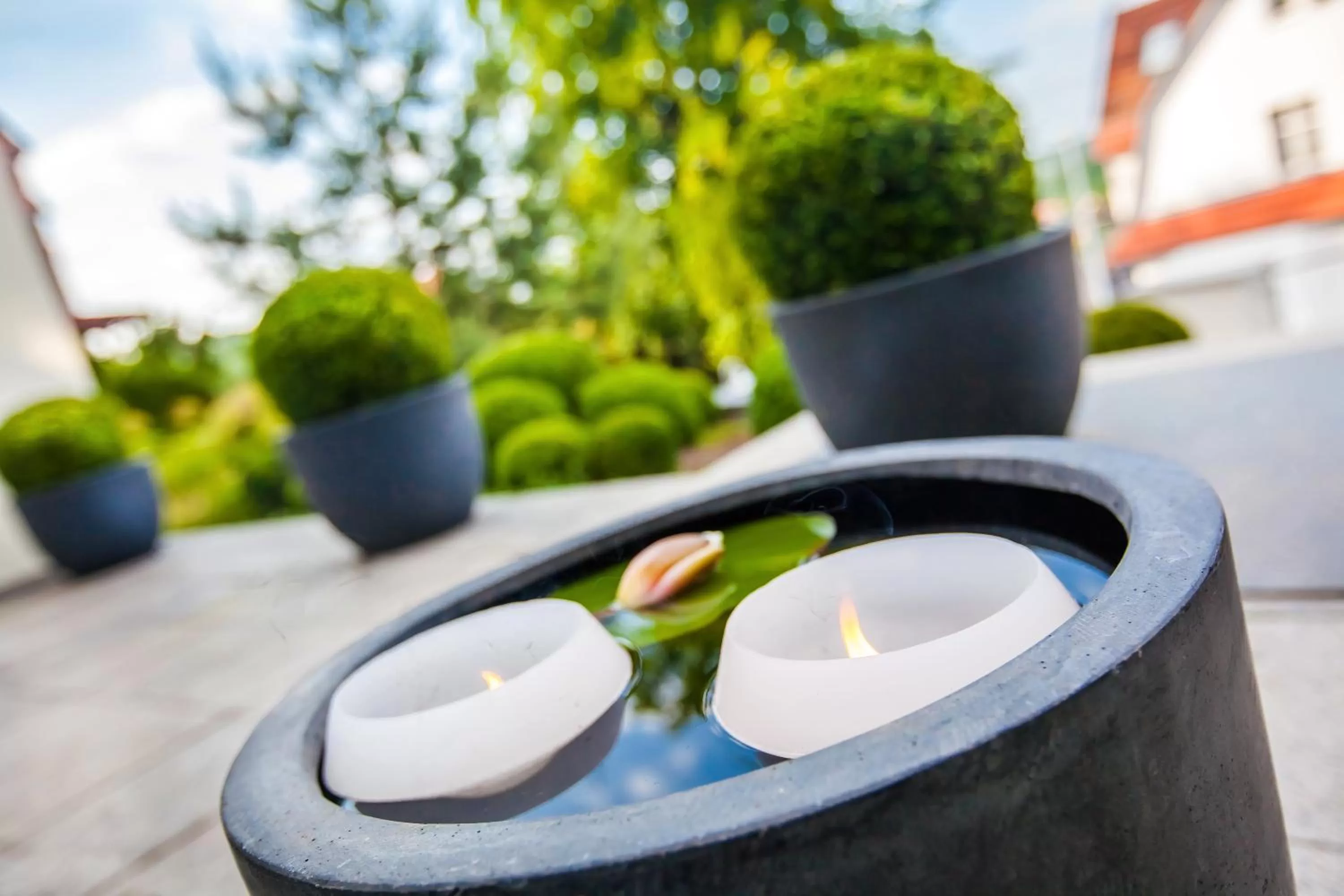 Garden in Boutique-Hotel Villa Anna