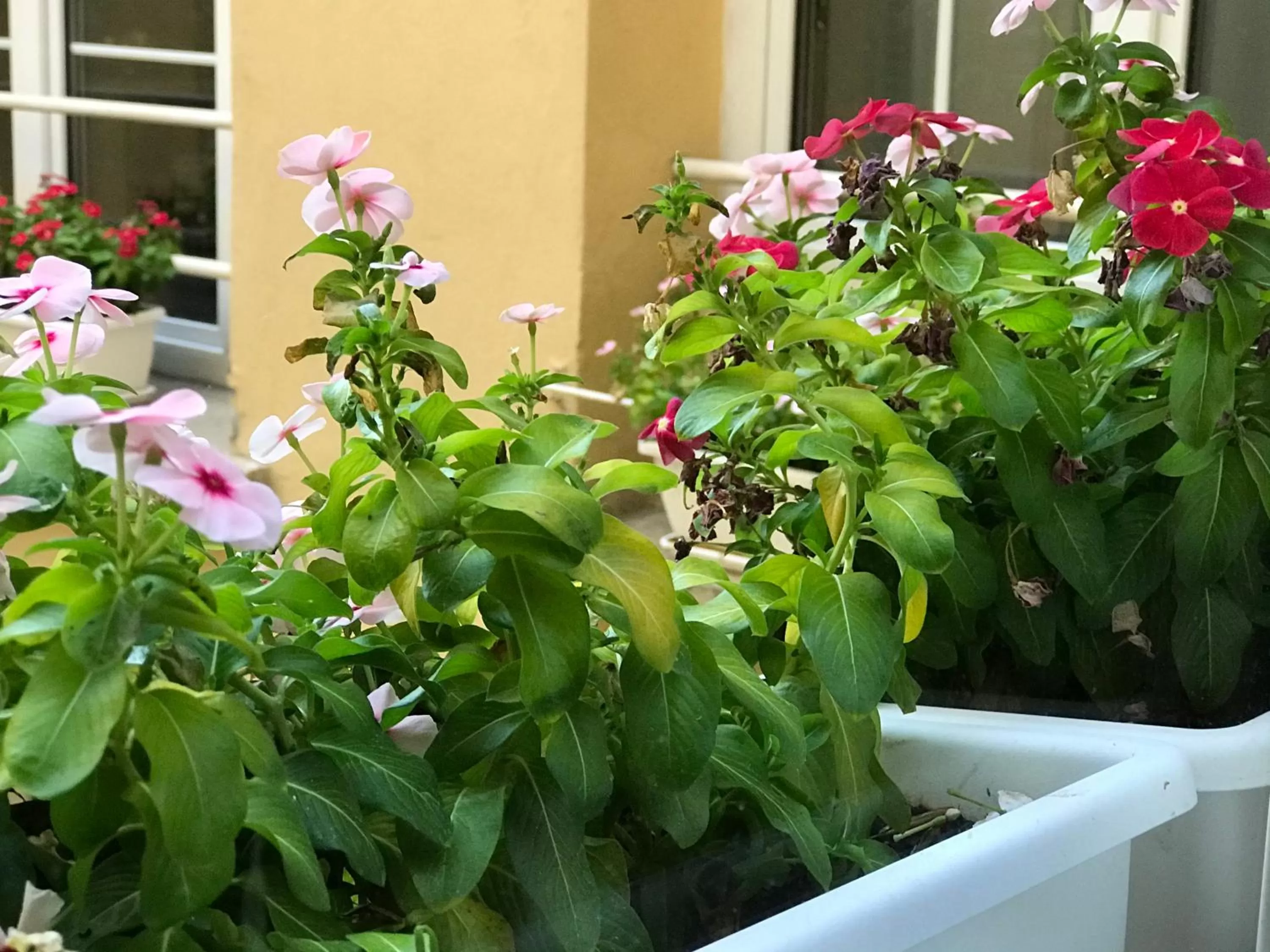 Floor plan in Liberty House