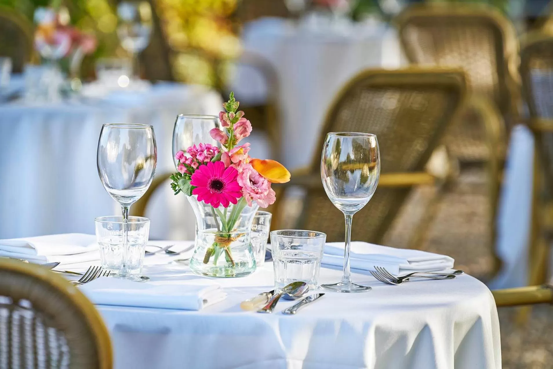 Garden in Hotel Brull