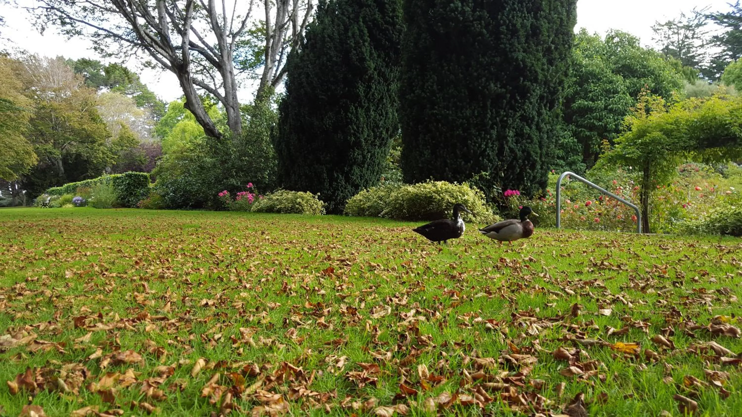 Day in Queens Park Motels