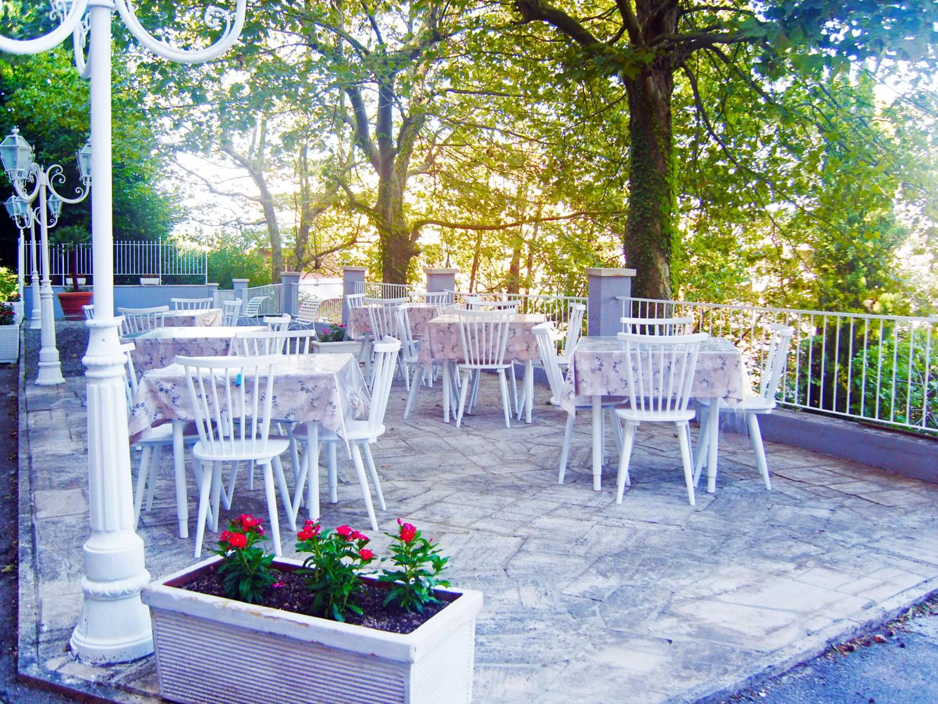 Garden in Hotel Panorama