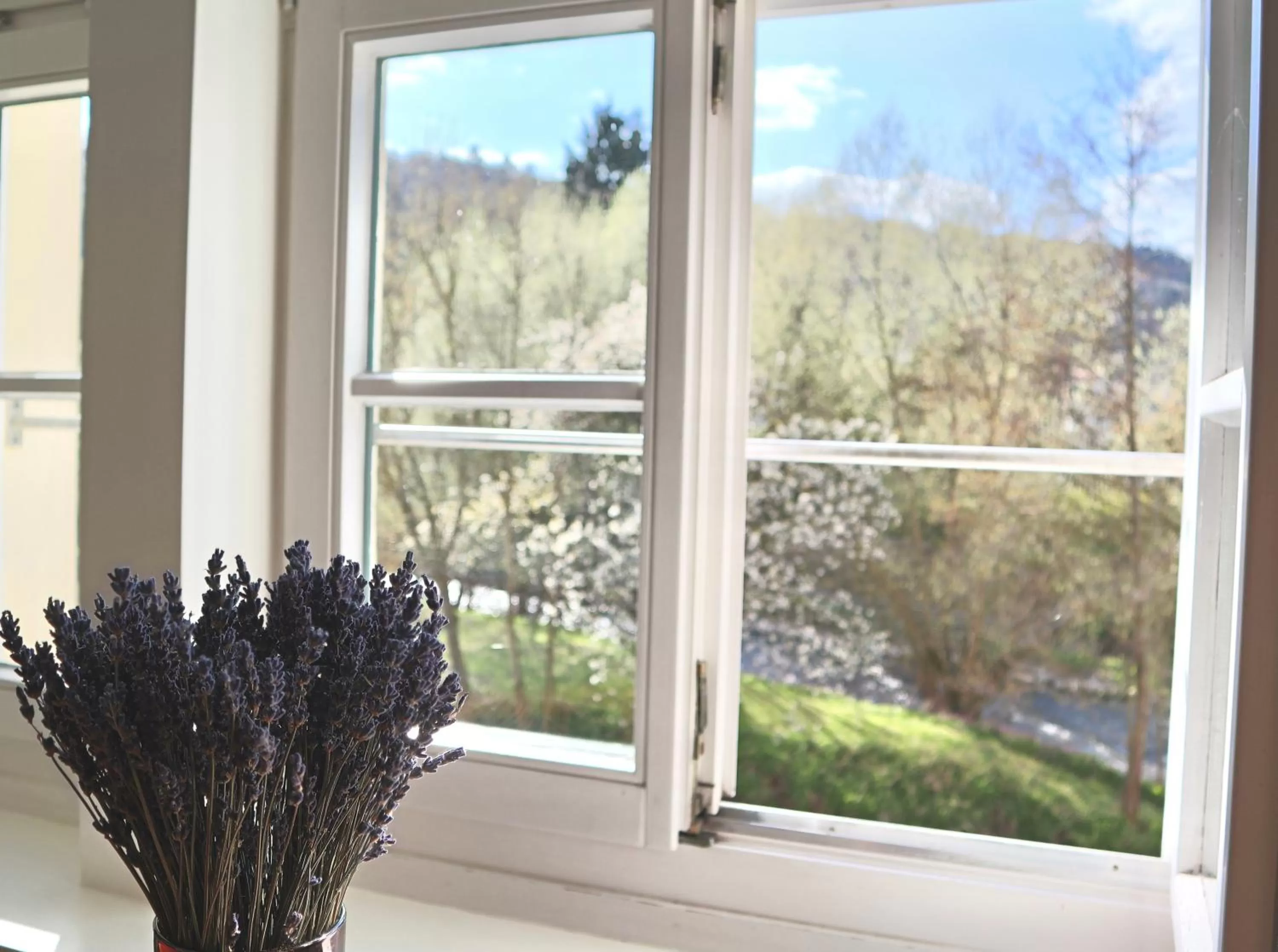 River view in Hotel Alter Packhof