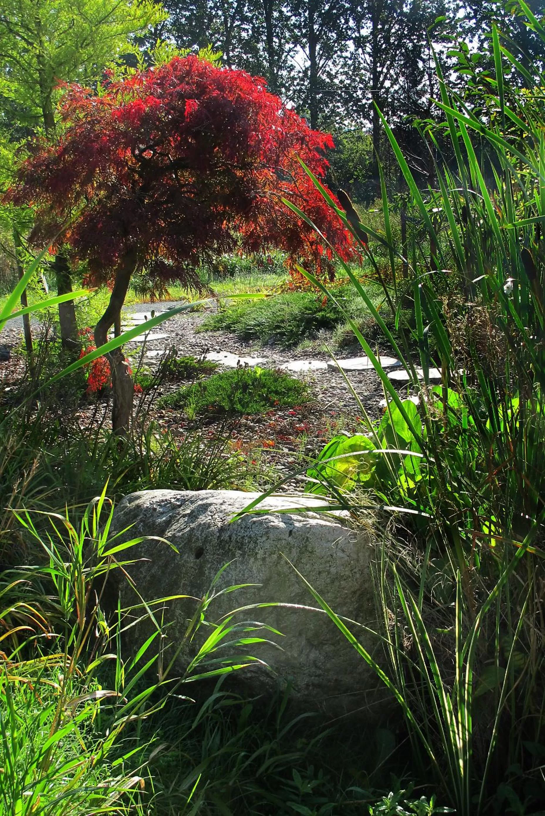 Garden in Centrum Ulan Spa