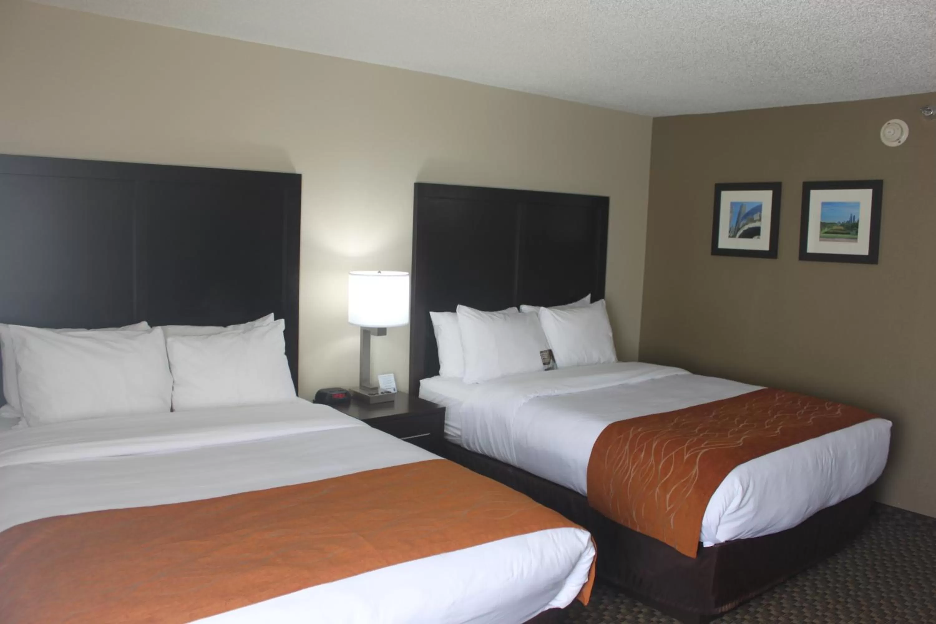 Queen Room with Two Queen Beds - Non-Smoking in Spark by Hilton Matteson Chicago I 57